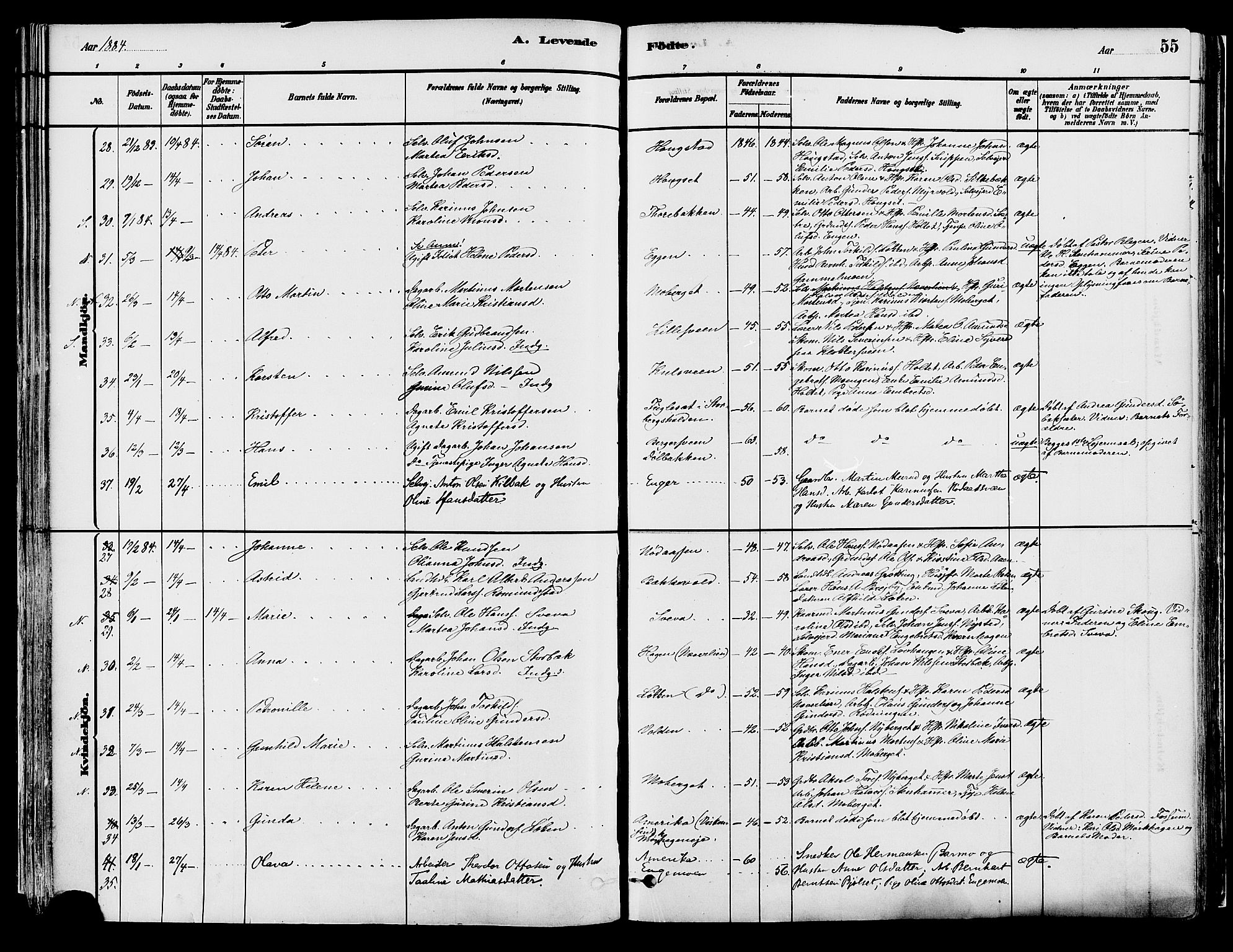 Elverum prestekontor, AV/SAH-PREST-044/H/Ha/Haa/L0013: Parish register (official) no. 13, 1880-1890, p. 55