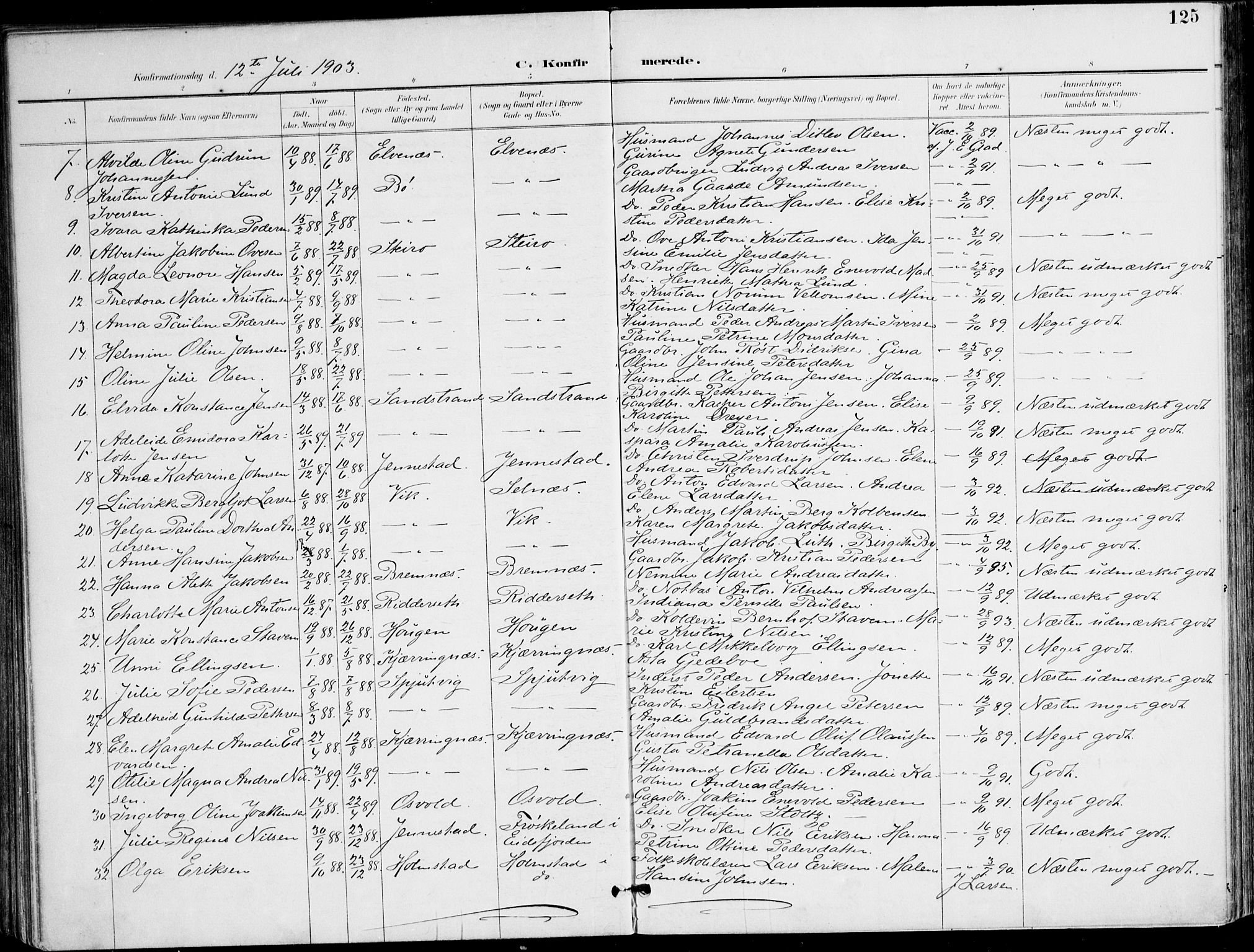 Ministerialprotokoller, klokkerbøker og fødselsregistre - Nordland, AV/SAT-A-1459/895/L1372: Parish register (official) no. 895A07, 1894-1914, p. 125