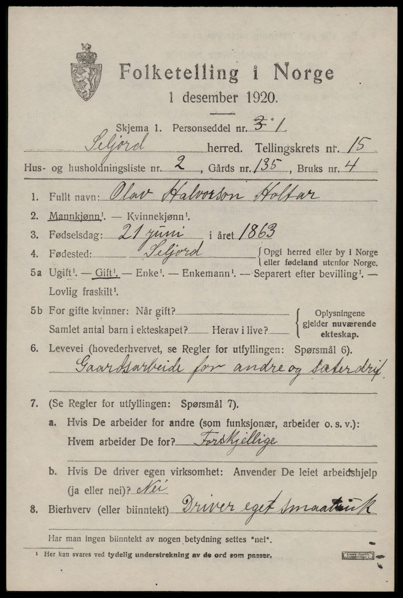 SAKO, 1920 census for Seljord, 1920, p. 6434