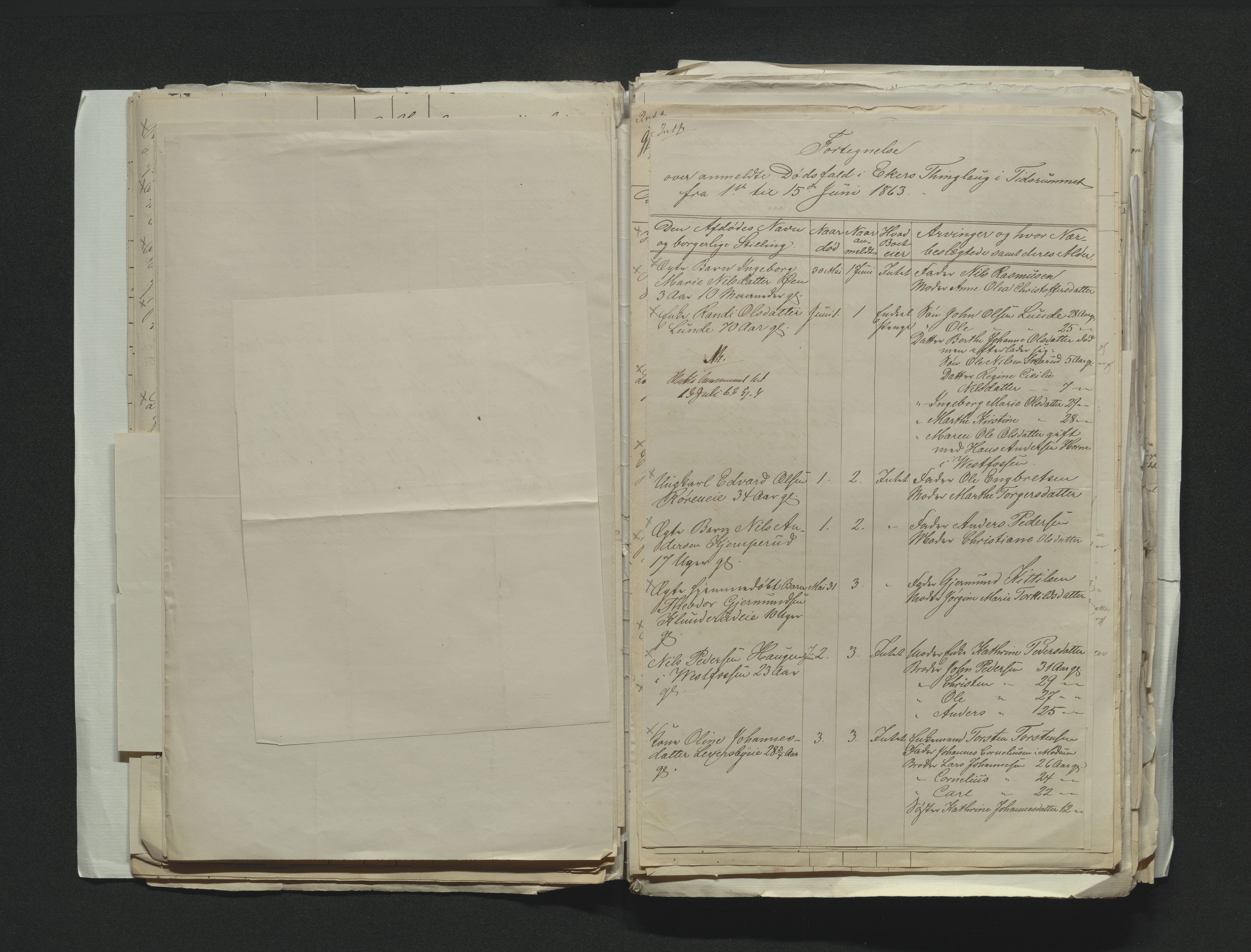 Eiker, Modum og Sigdal sorenskriveri, AV/SAKO-A-123/H/Ha/Hab/L0011: Dødsfallsmeldinger, 1862-1865, p. 197