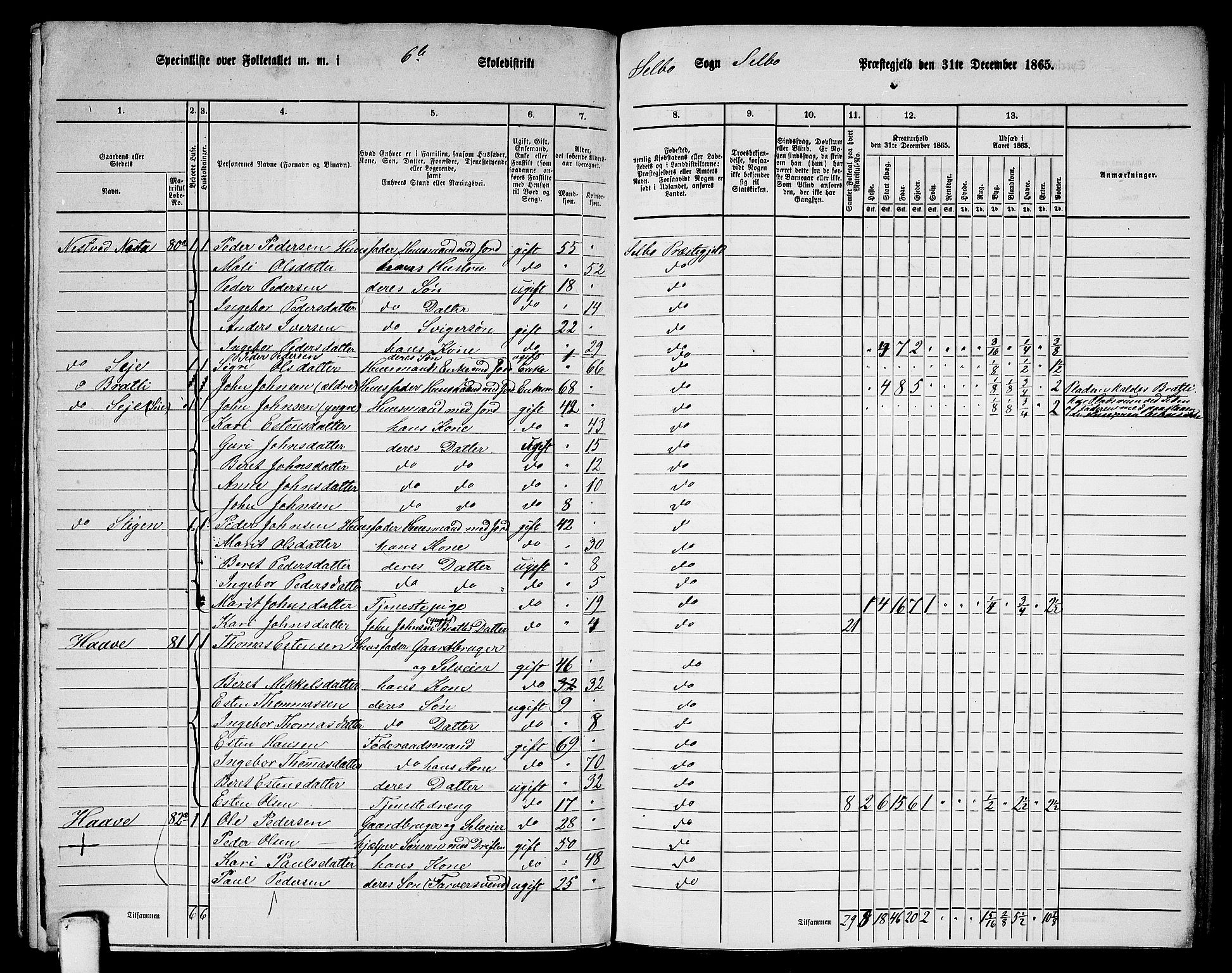 RA, 1865 census for Selbu, 1865, p. 104