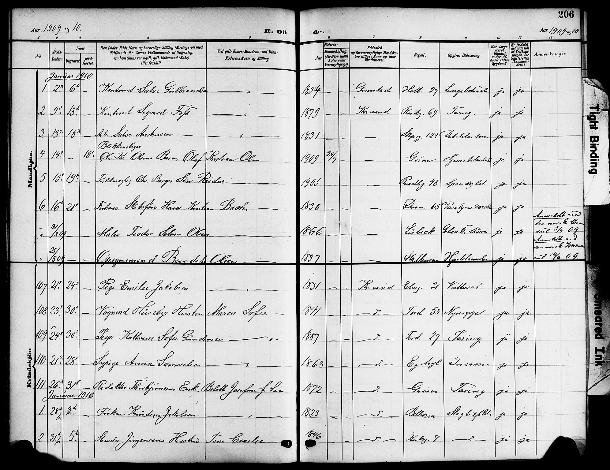 Kristiansand domprosti, AV/SAK-1112-0006/F/Fb/L0020: Parish register (copy) no. B 20, 1906-1915, p. 206