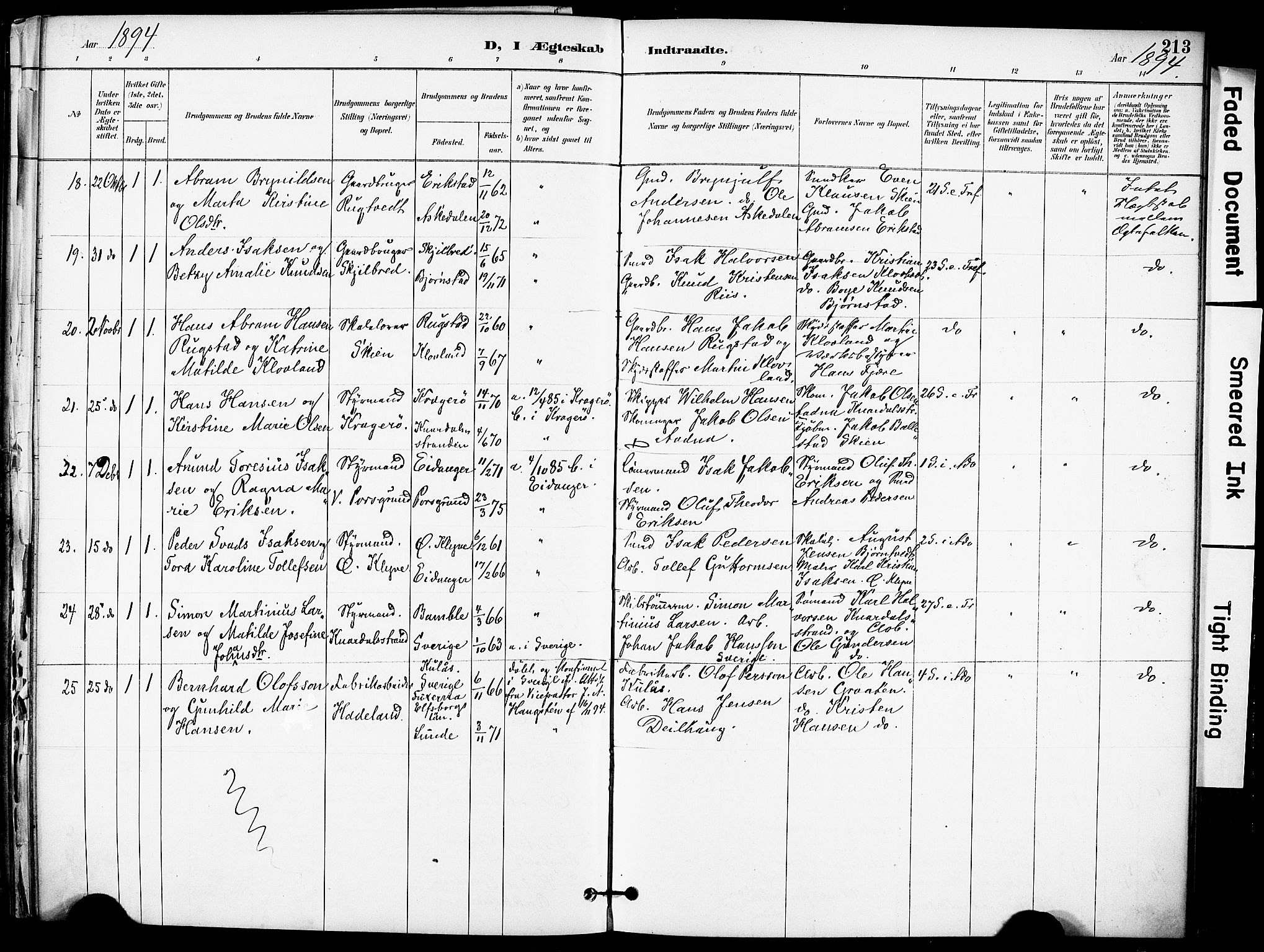 Solum kirkebøker, SAKO/A-306/F/Fa/L0010: Parish register (official) no. I 10, 1888-1898, p. 213