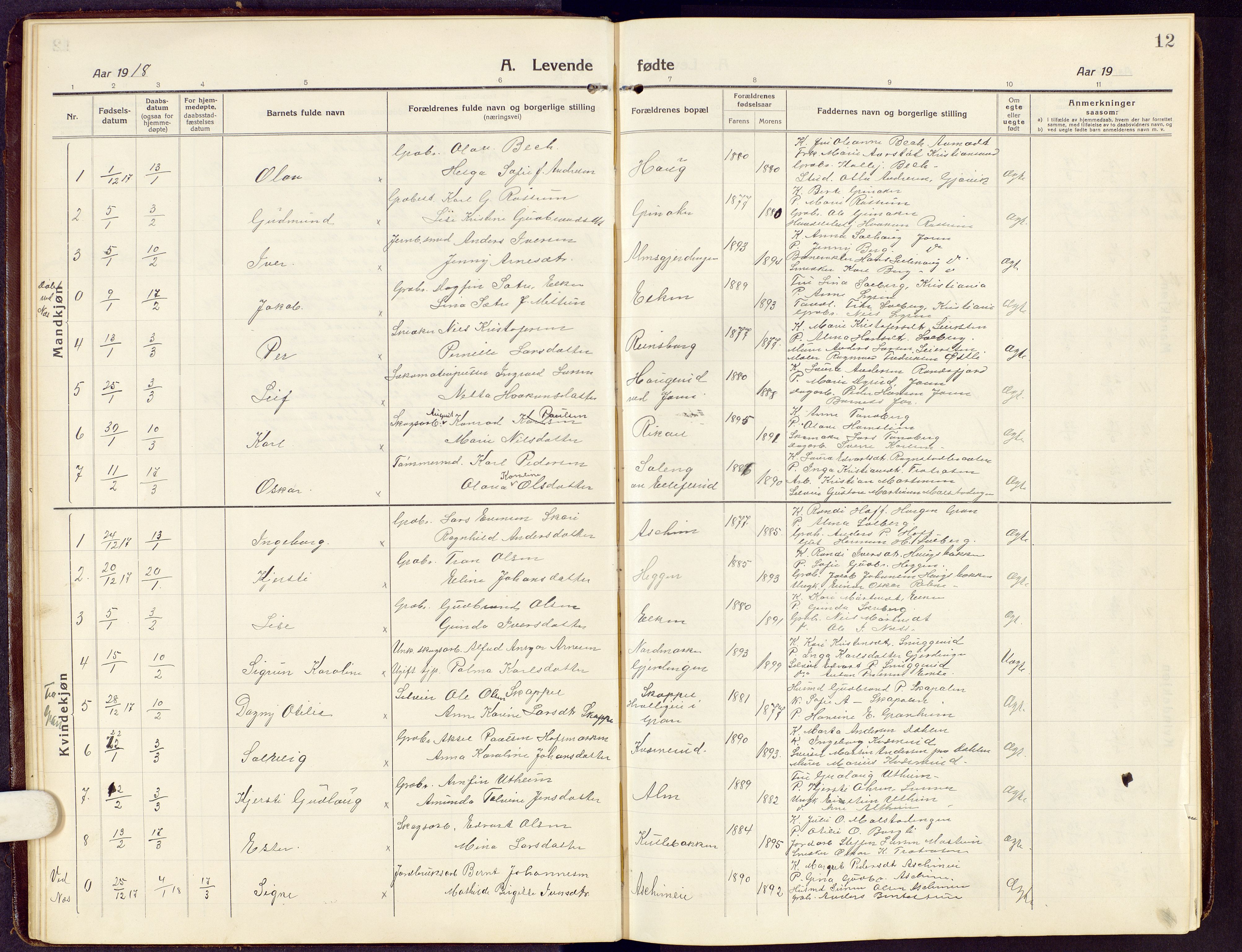 Brandbu prestekontor, SAH/PREST-114/H/Ha/Hab/L0010: Parish register (copy) no. 10, 1916-1930, p. 12