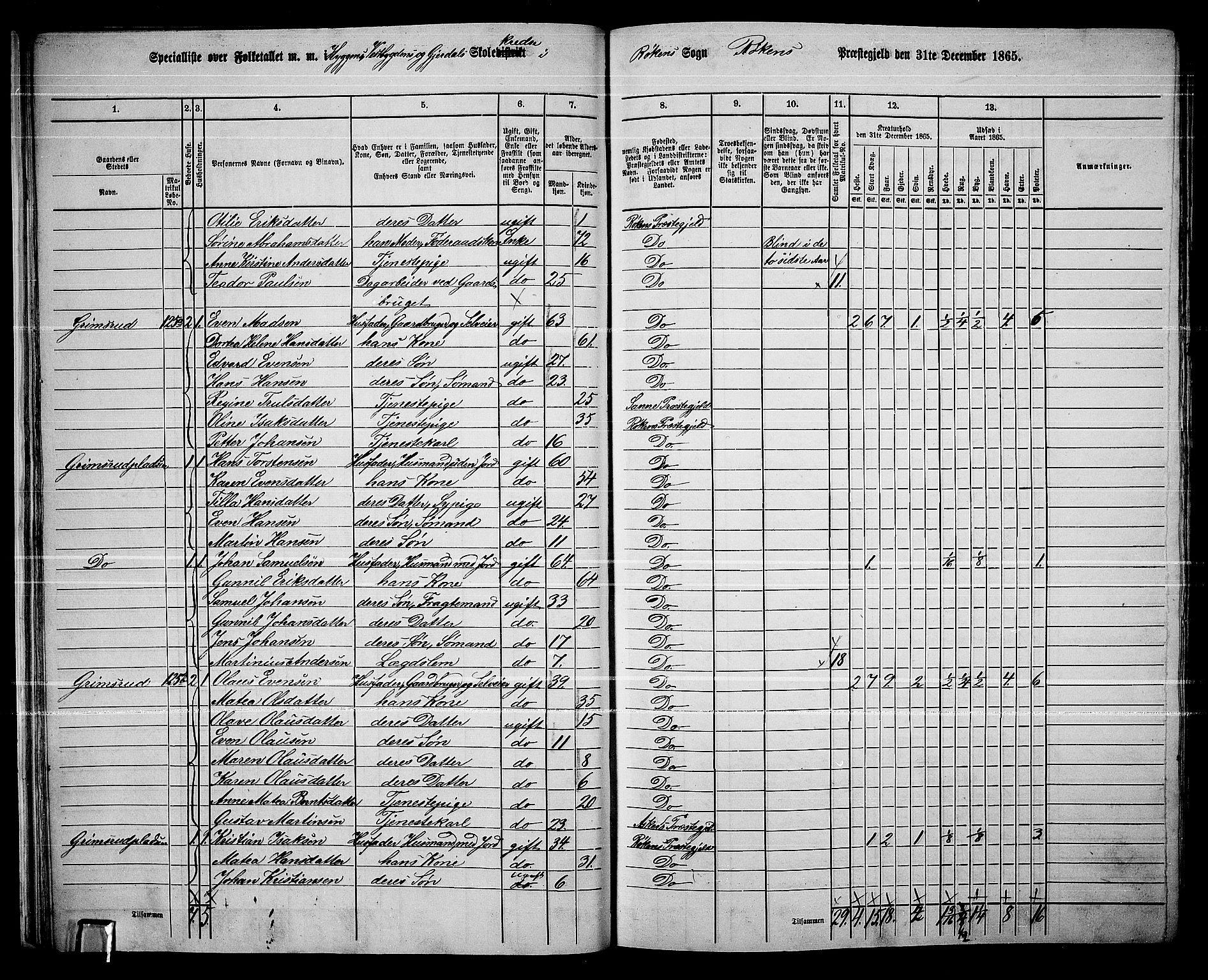 RA, 1865 census for Røyken, 1865, p. 31