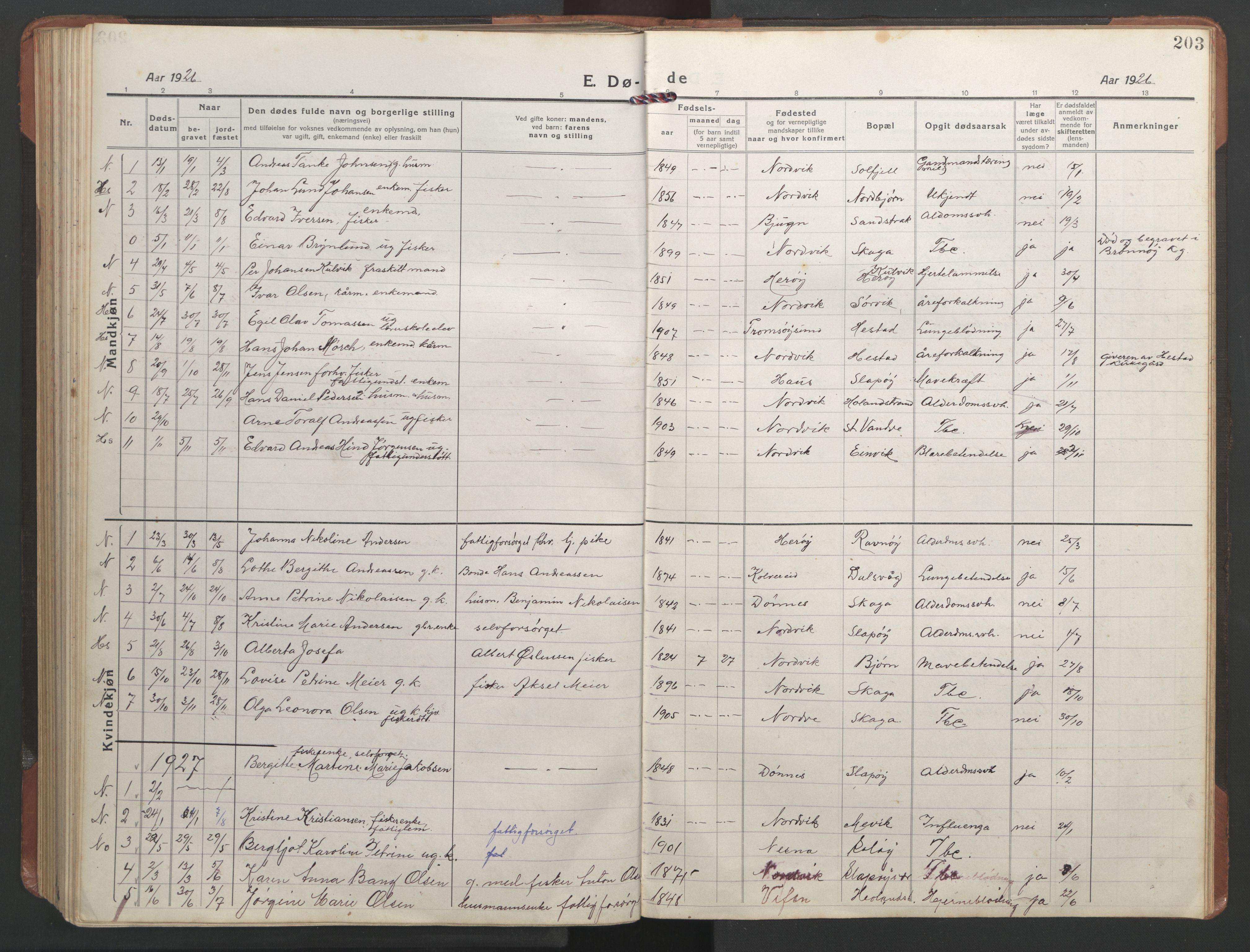 Ministerialprotokoller, klokkerbøker og fødselsregistre - Nordland, SAT/A-1459/836/L0539: Parish register (copy) no. 836C03, 1917-1949, p. 203