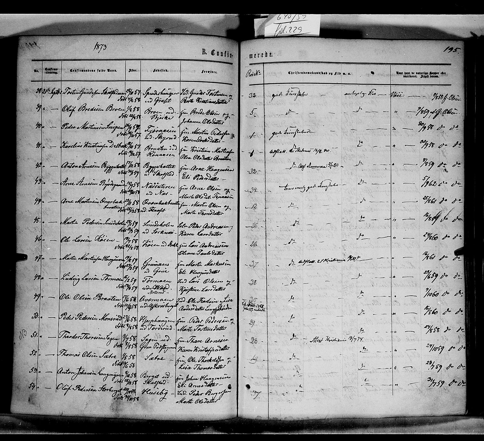 Grue prestekontor, AV/SAH-PREST-036/H/Ha/Haa/L0010: Parish register (official) no. 10, 1864-1873, p. 195