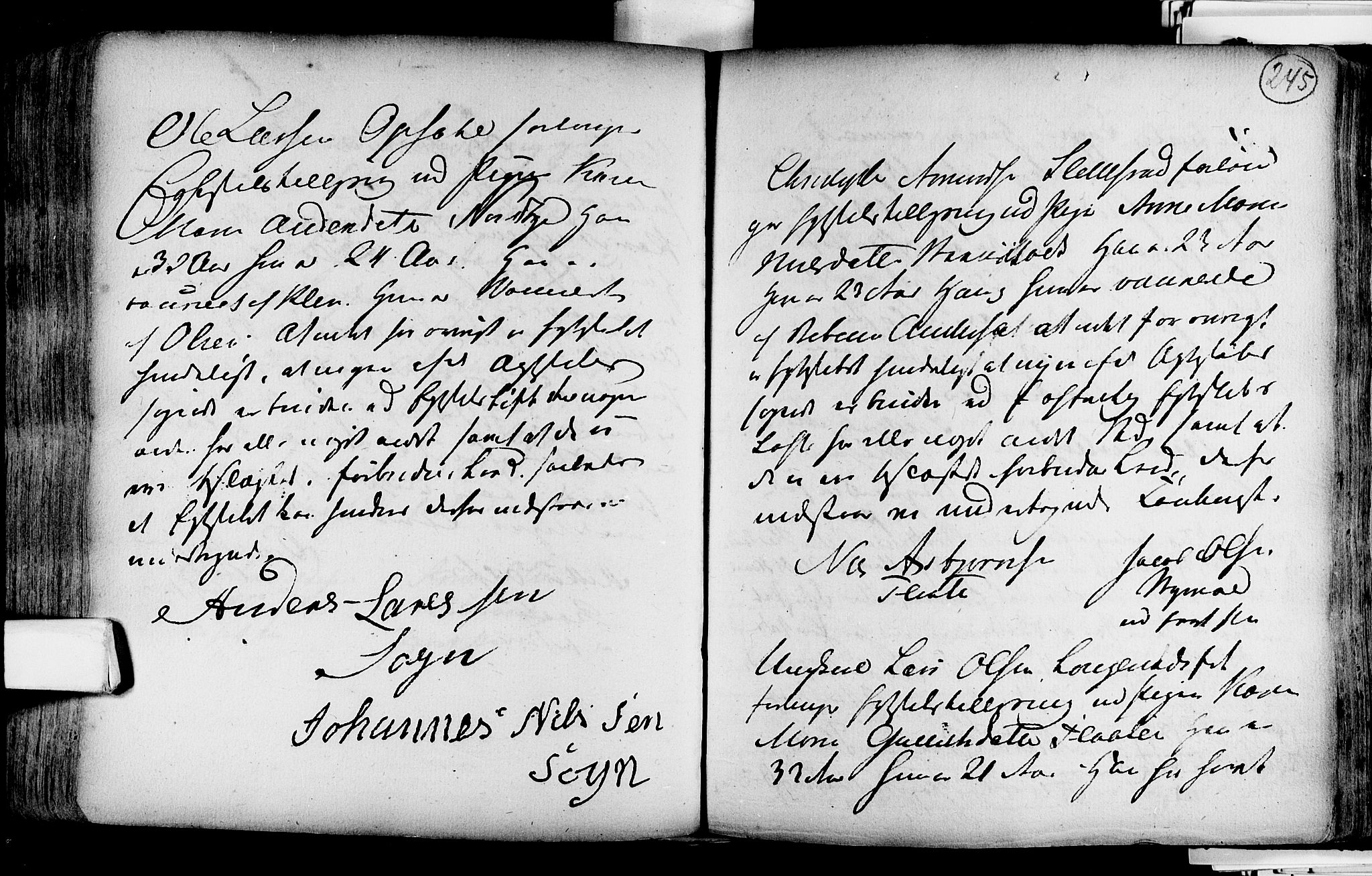 Lardal kirkebøker, SAKO/A-350/F/Fa/L0004: Parish register (official) no. i 4, 1733-1815, p. 245