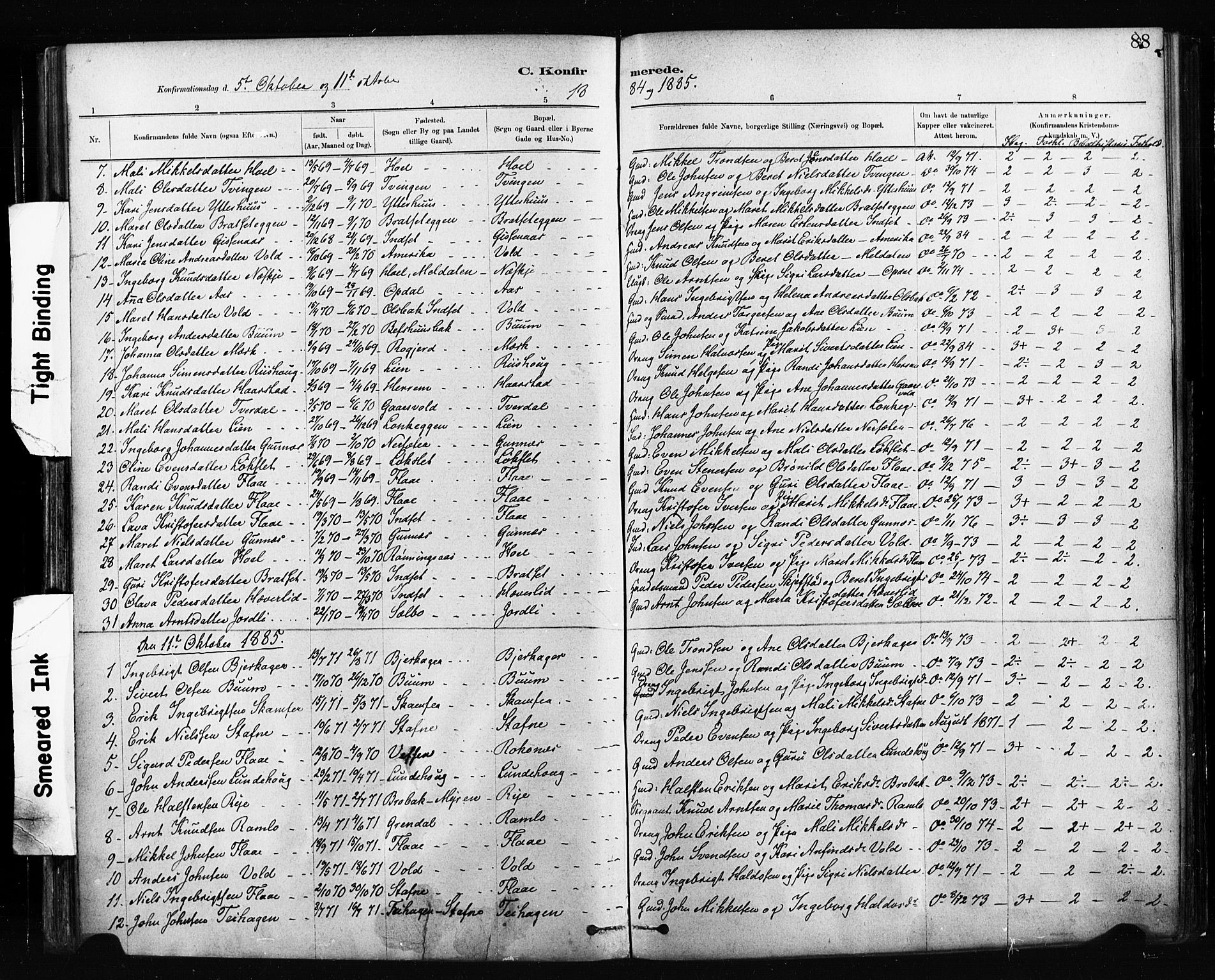 Ministerialprotokoller, klokkerbøker og fødselsregistre - Sør-Trøndelag, SAT/A-1456/674/L0871: Parish register (official) no. 674A03, 1880-1896, p. 88