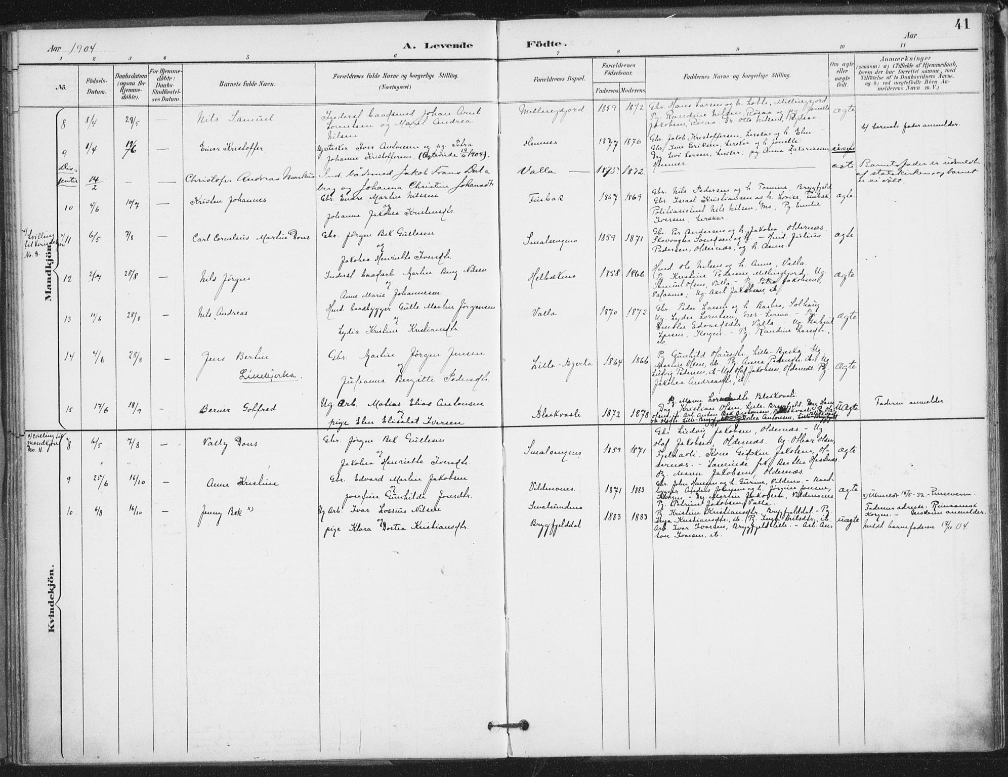 Ministerialprotokoller, klokkerbøker og fødselsregistre - Nordland, SAT/A-1459/826/L0380: Parish register (official) no. 826A03, 1891-1911, p. 41