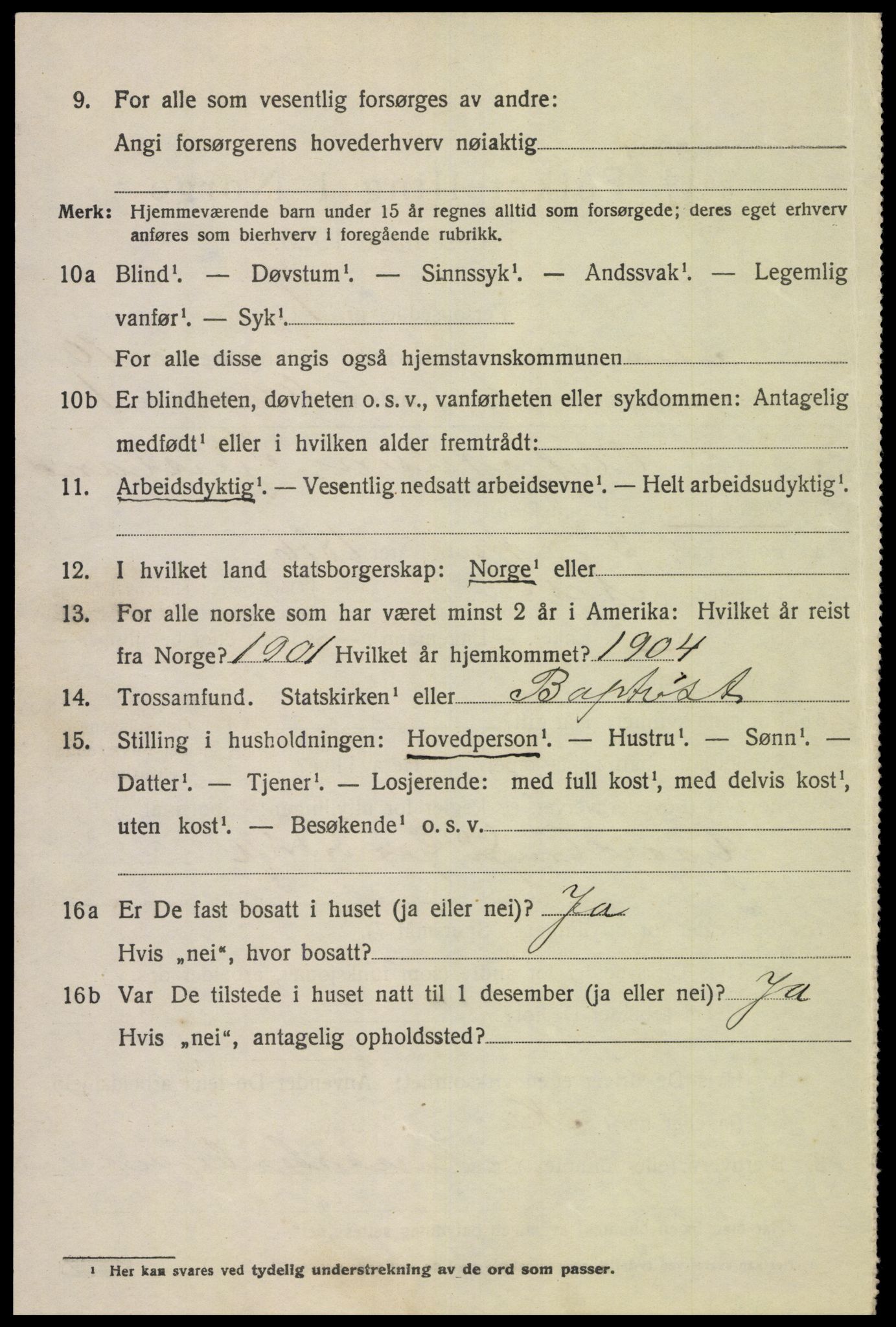 SAK, 1920 census for Nes (V-A), 1920, p. 3867