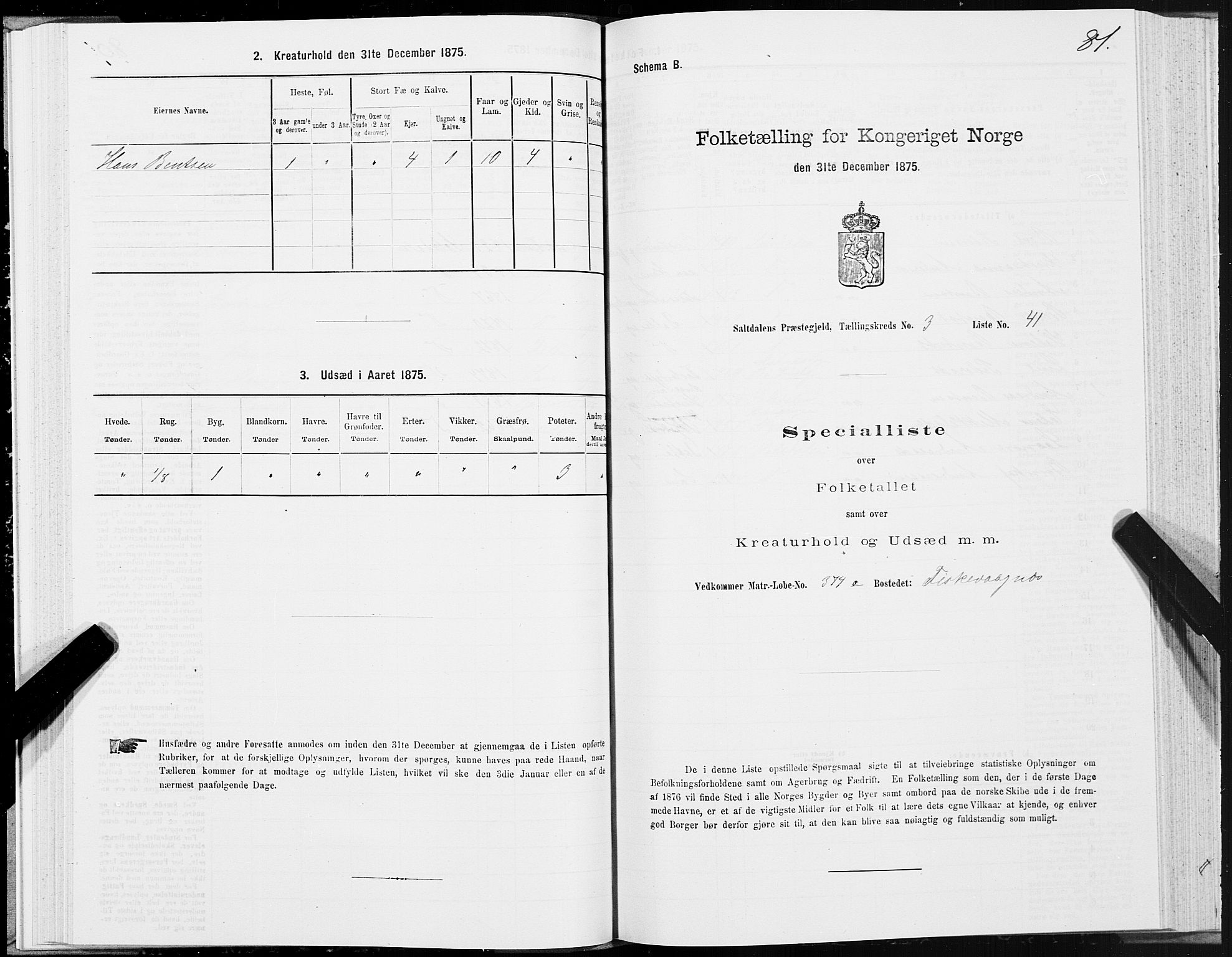 SAT, 1875 census for 1840P Saltdal, 1875, p. 2081