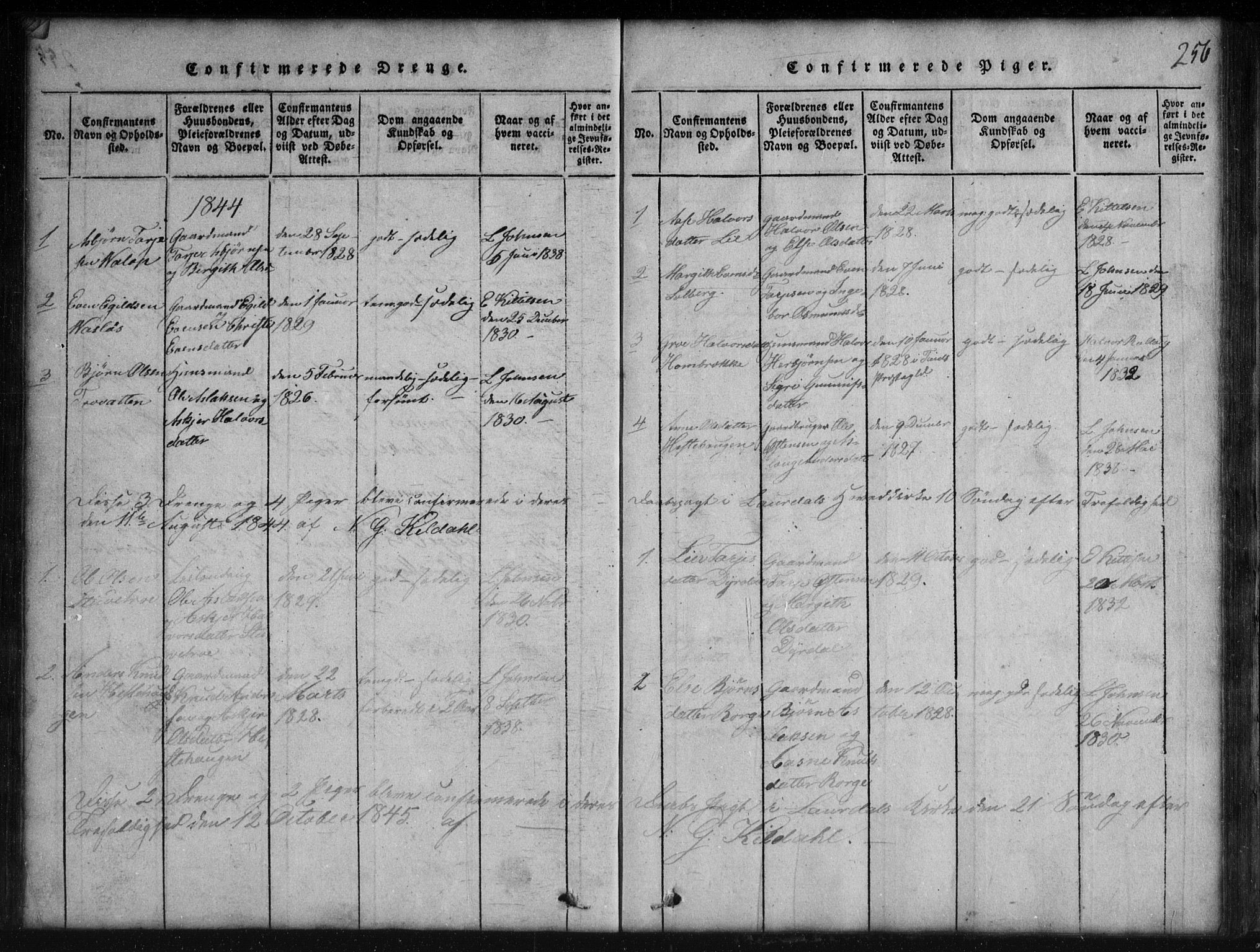 Rauland kirkebøker, SAKO/A-292/G/Gb/L0001: Parish register (copy) no. II 1, 1815-1886, p. 256