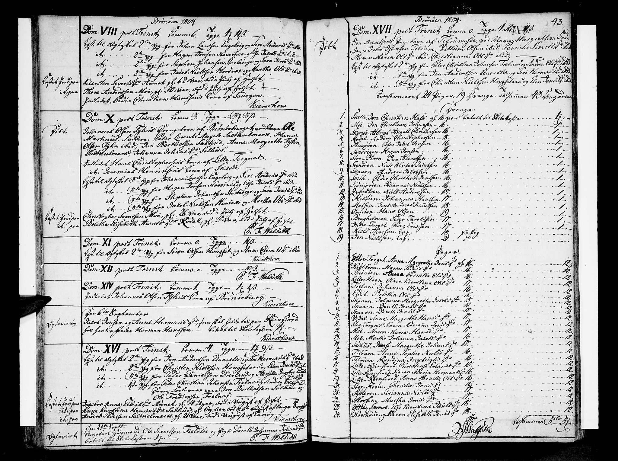 Ministerialprotokoller, klokkerbøker og fødselsregistre - Nordland, SAT/A-1459/813/L0196: Parish register (official) no. 813A06, 1804-1819, p. 43