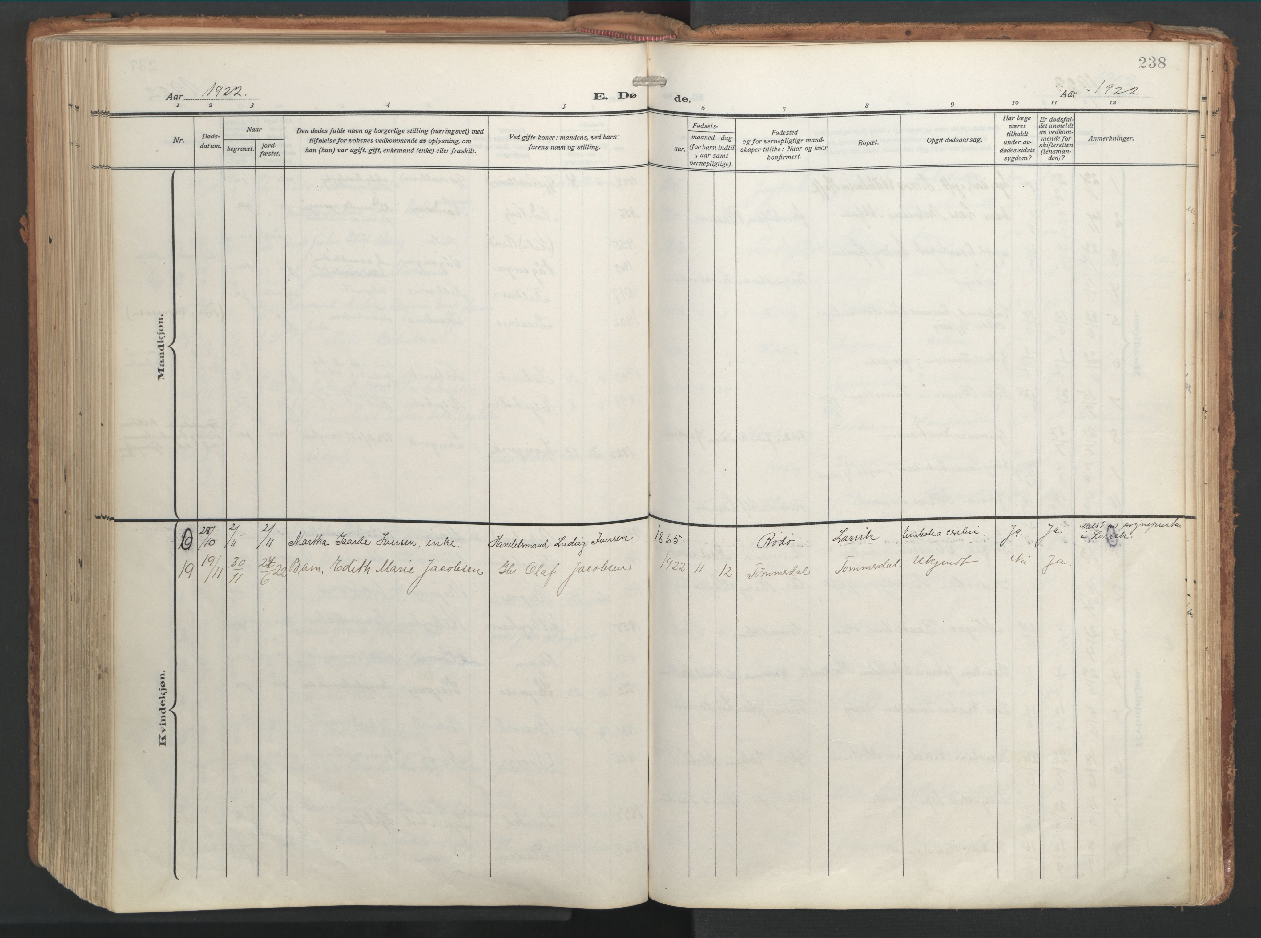 Ministerialprotokoller, klokkerbøker og fødselsregistre - Nordland, AV/SAT-A-1459/841/L0614: Parish register (official) no. 841A17, 1911-1925, p. 238