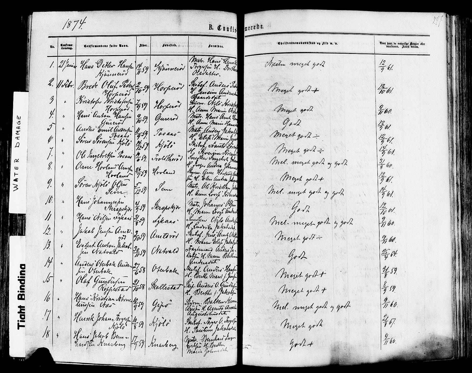 Nøtterøy kirkebøker, SAKO/A-354/F/Fa/L0007: Parish register (official) no. I 7, 1865-1877, p. 247