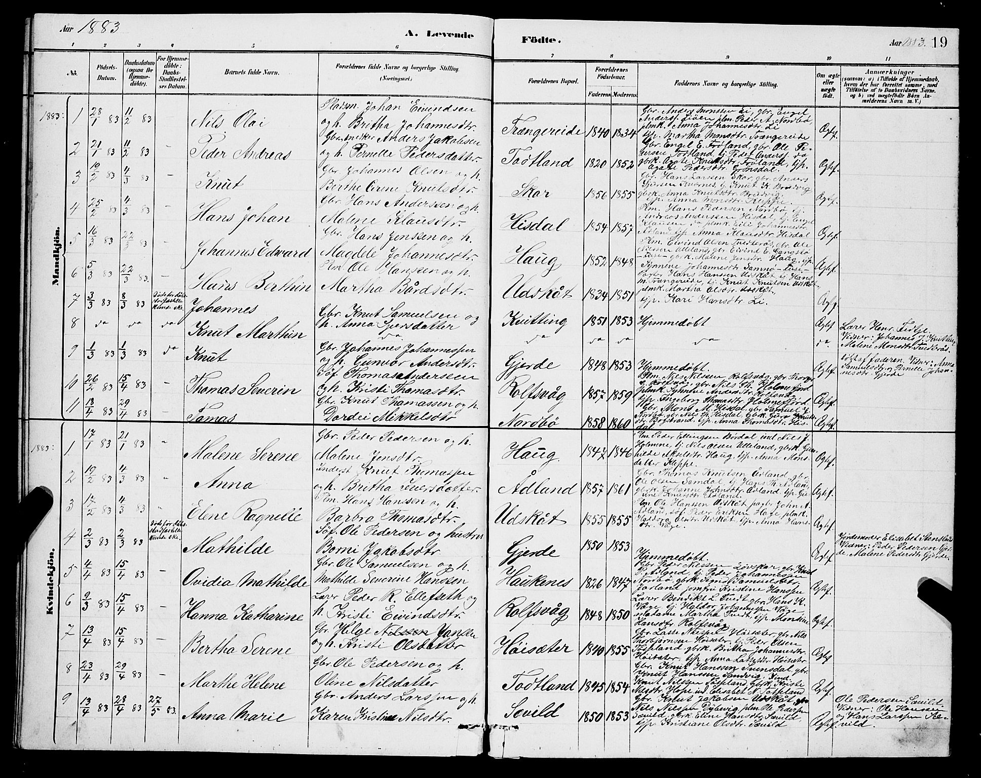 Samnanger Sokneprestembete, SAB/A-77501/H/Hab: Parish register (copy) no. A 2, 1879-1897, p. 19