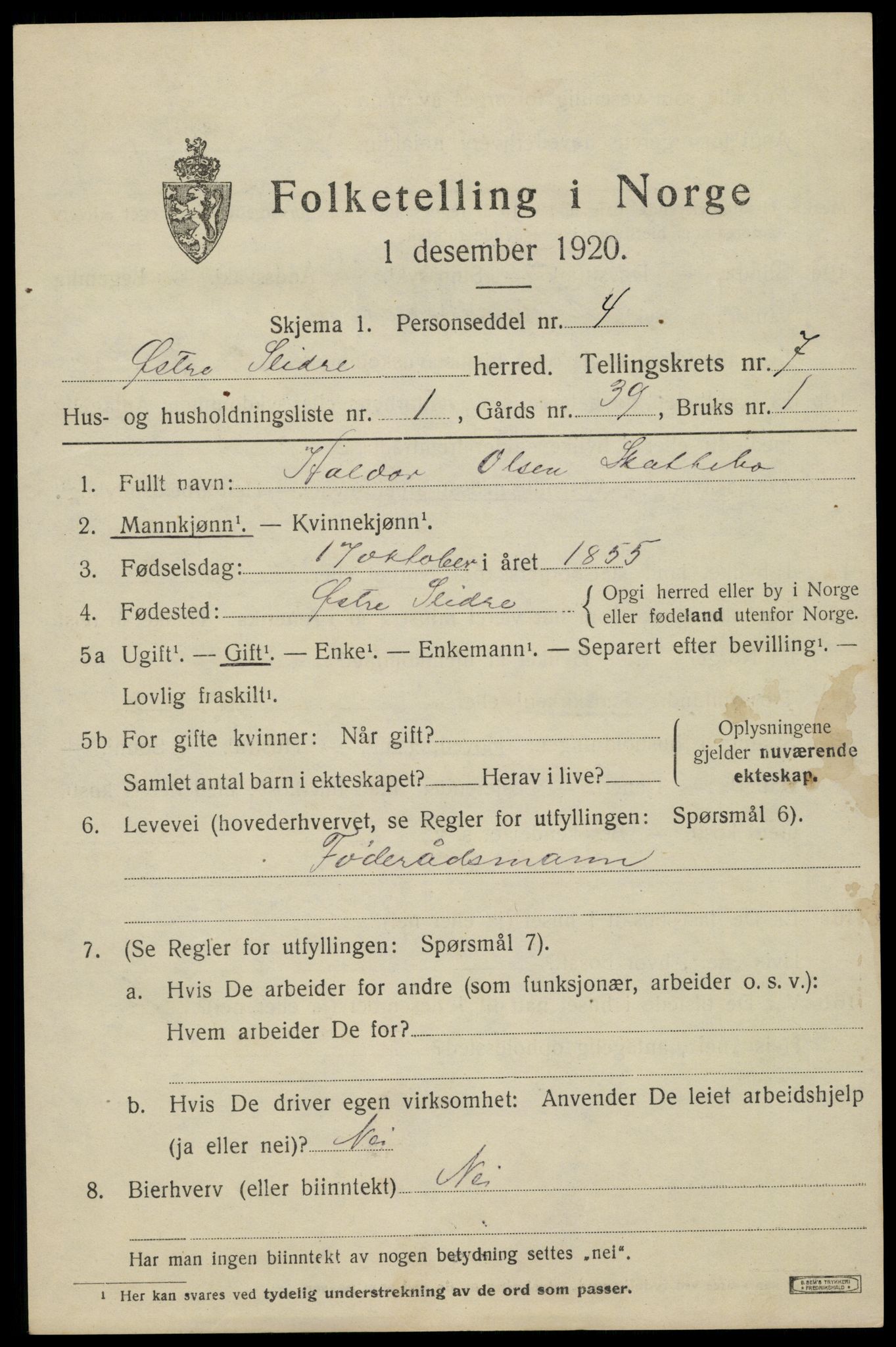 SAH, 1920 census for Øystre Slidre, 1920, p. 4021