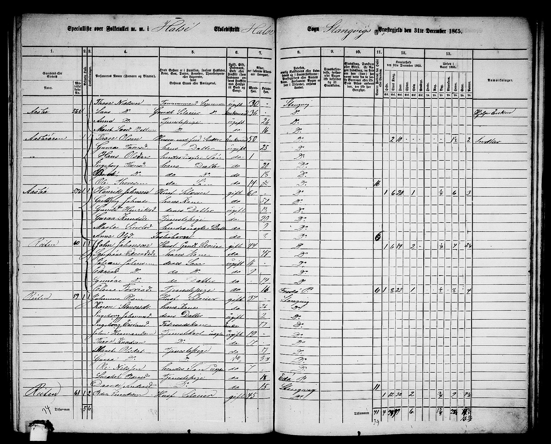 RA, 1865 census for Stangvik, 1865, p. 124