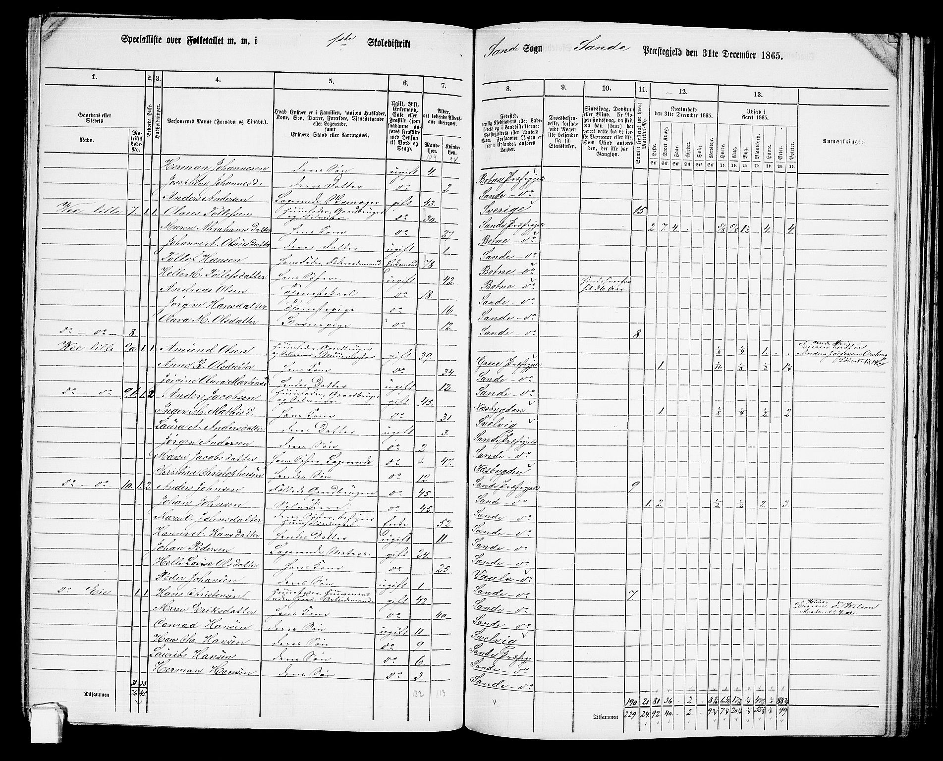 RA, 1865 census for Sande, 1865, p. 15