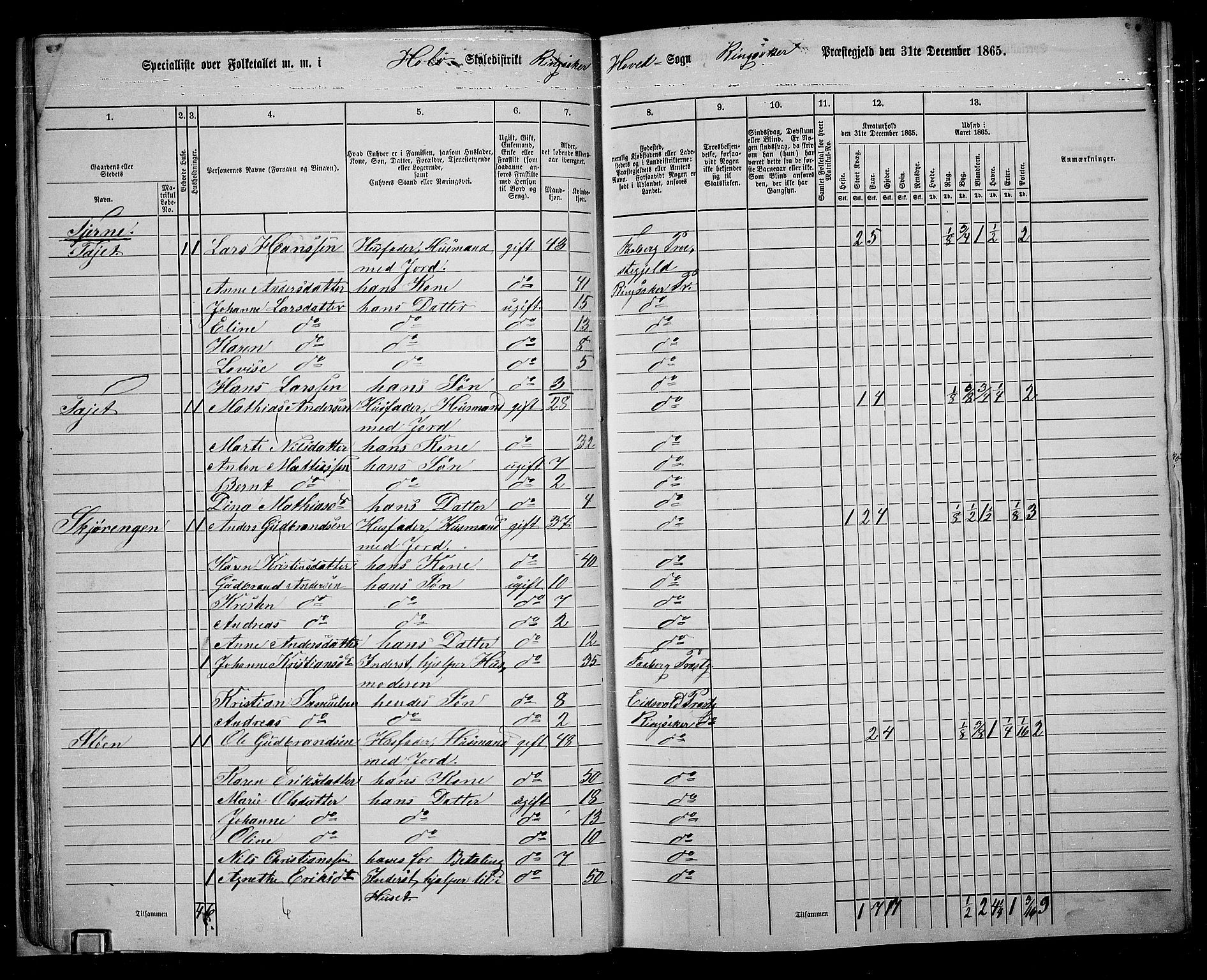 RA, 1865 census for Ringsaker, 1865, p. 48