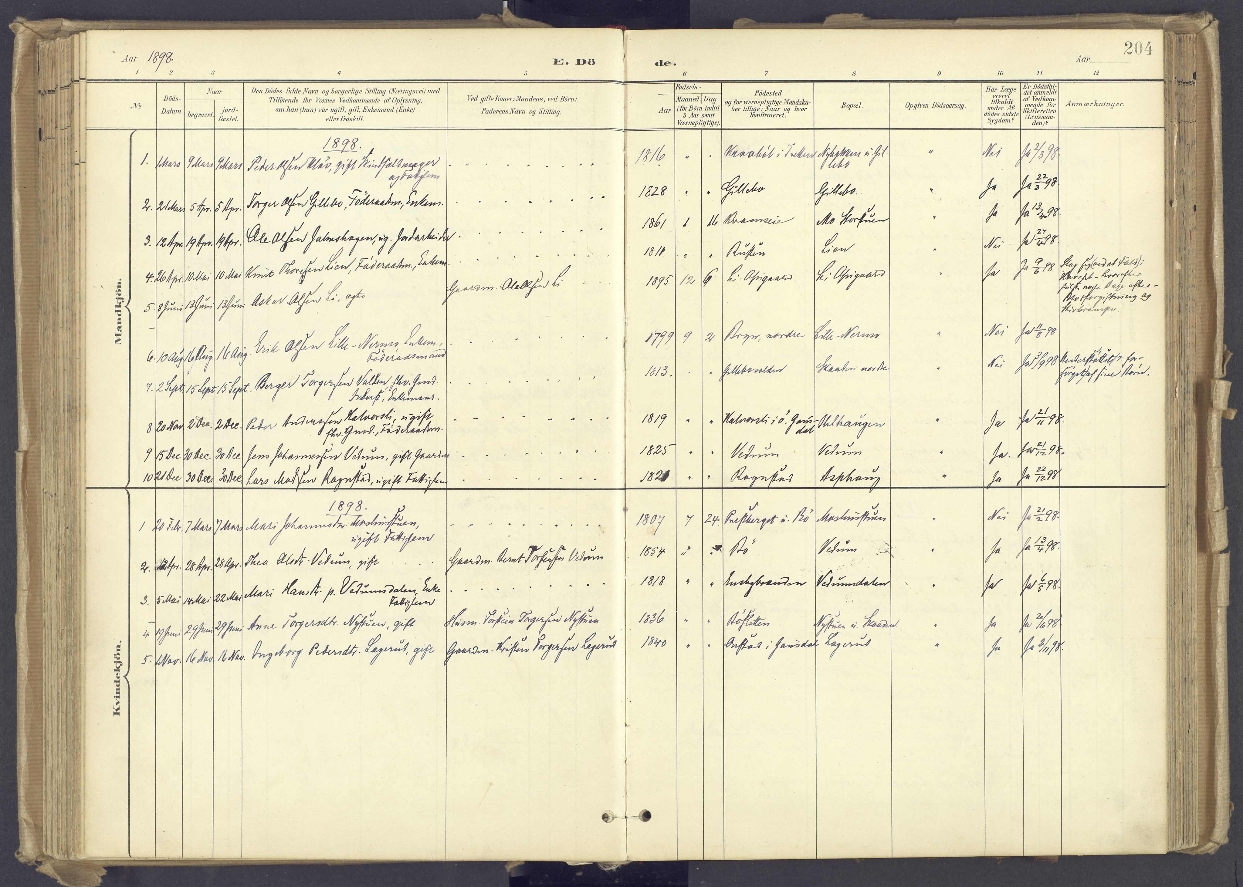 Øyer prestekontor, AV/SAH-PREST-084/H/Ha/Haa/L0012: Parish register (official) no. 12, 1897-1920, p. 204