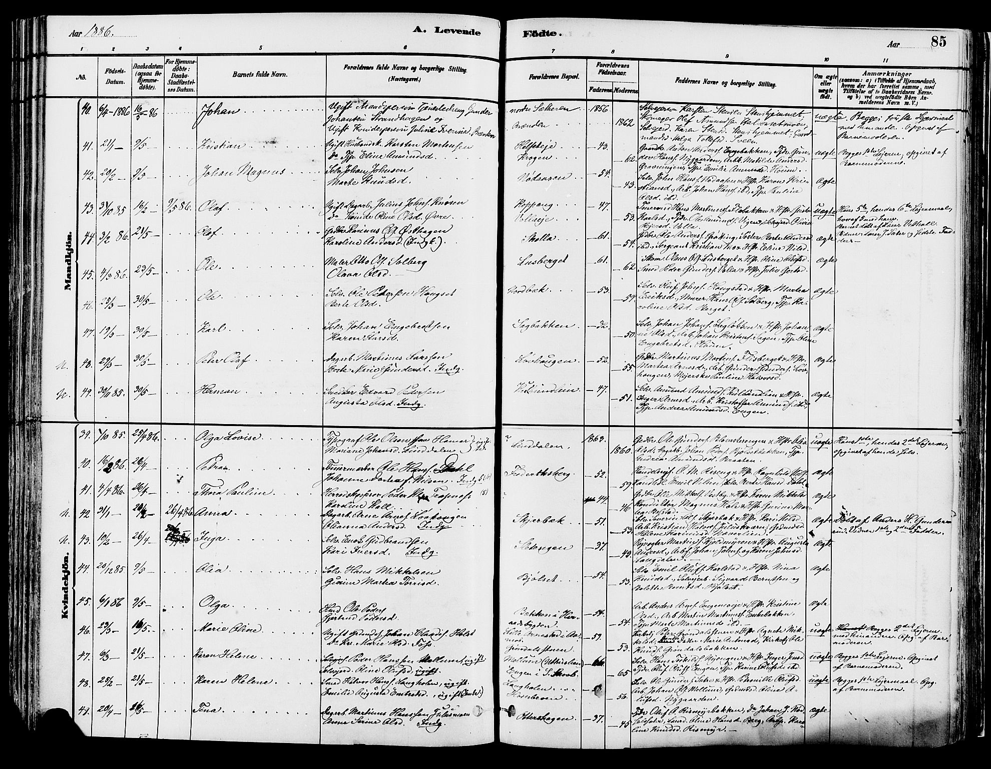 Elverum prestekontor, AV/SAH-PREST-044/H/Ha/Haa/L0013: Parish register (official) no. 13, 1880-1890, p. 85