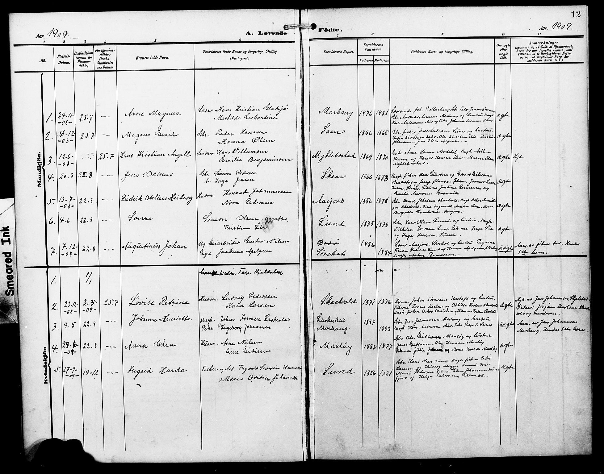 Ministerialprotokoller, klokkerbøker og fødselsregistre - Nordland, SAT/A-1459/857/L0829: Parish register (copy) no. 857C04, 1906-1916, p. 12