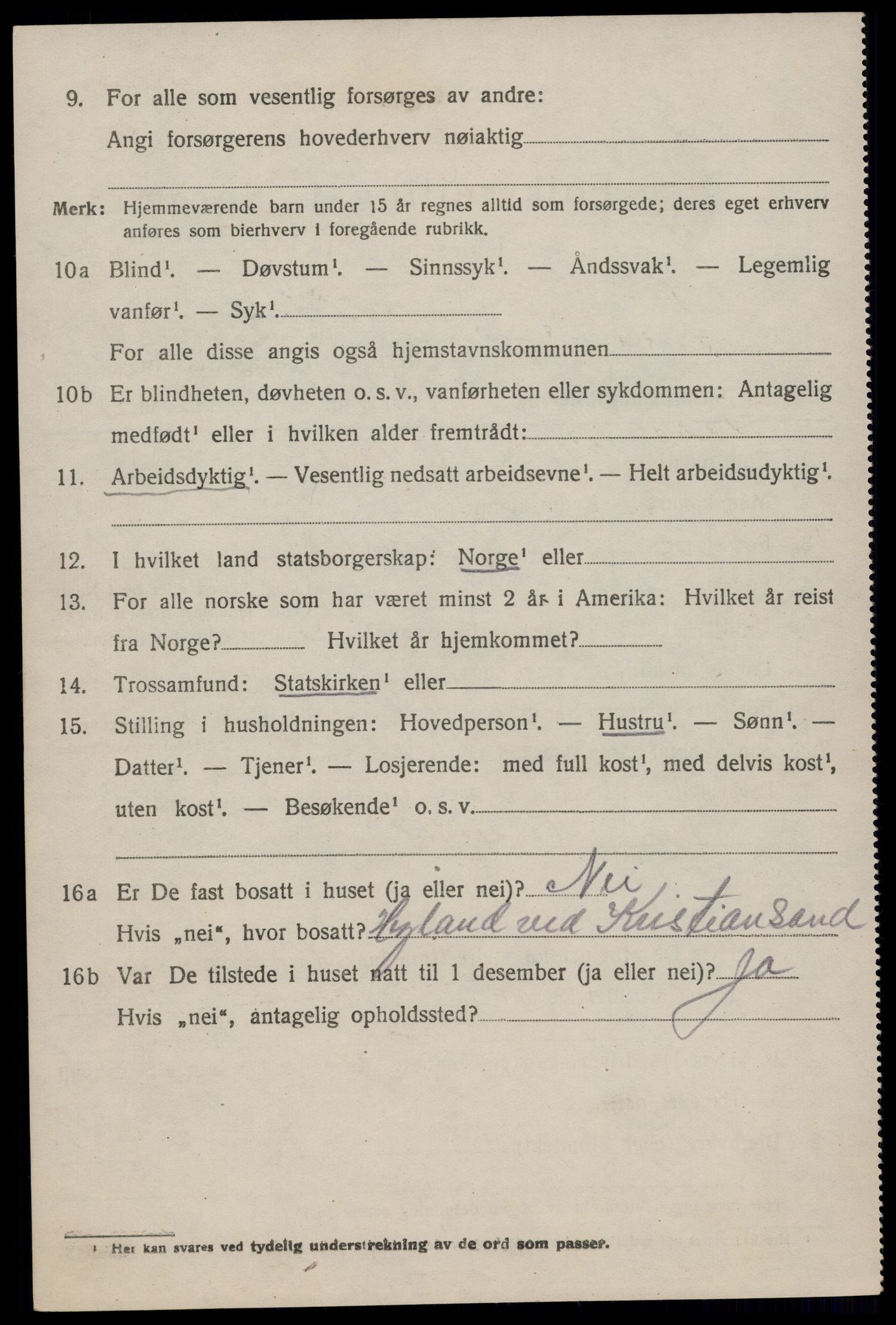 SAKO, 1920 census for Nissedal, 1920, p. 3484