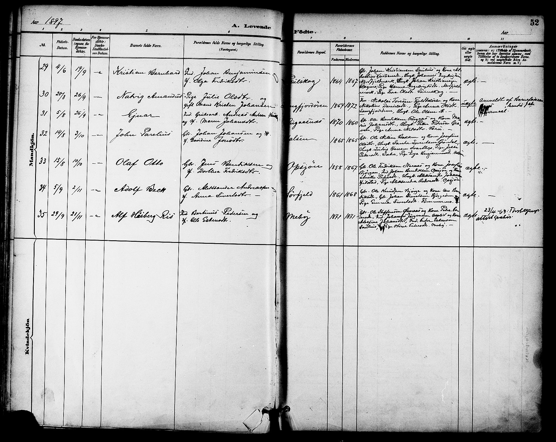 Ministerialprotokoller, klokkerbøker og fødselsregistre - Nordland, AV/SAT-A-1459/814/L0226: Parish register (official) no. 814A07, 1886-1898, p. 52