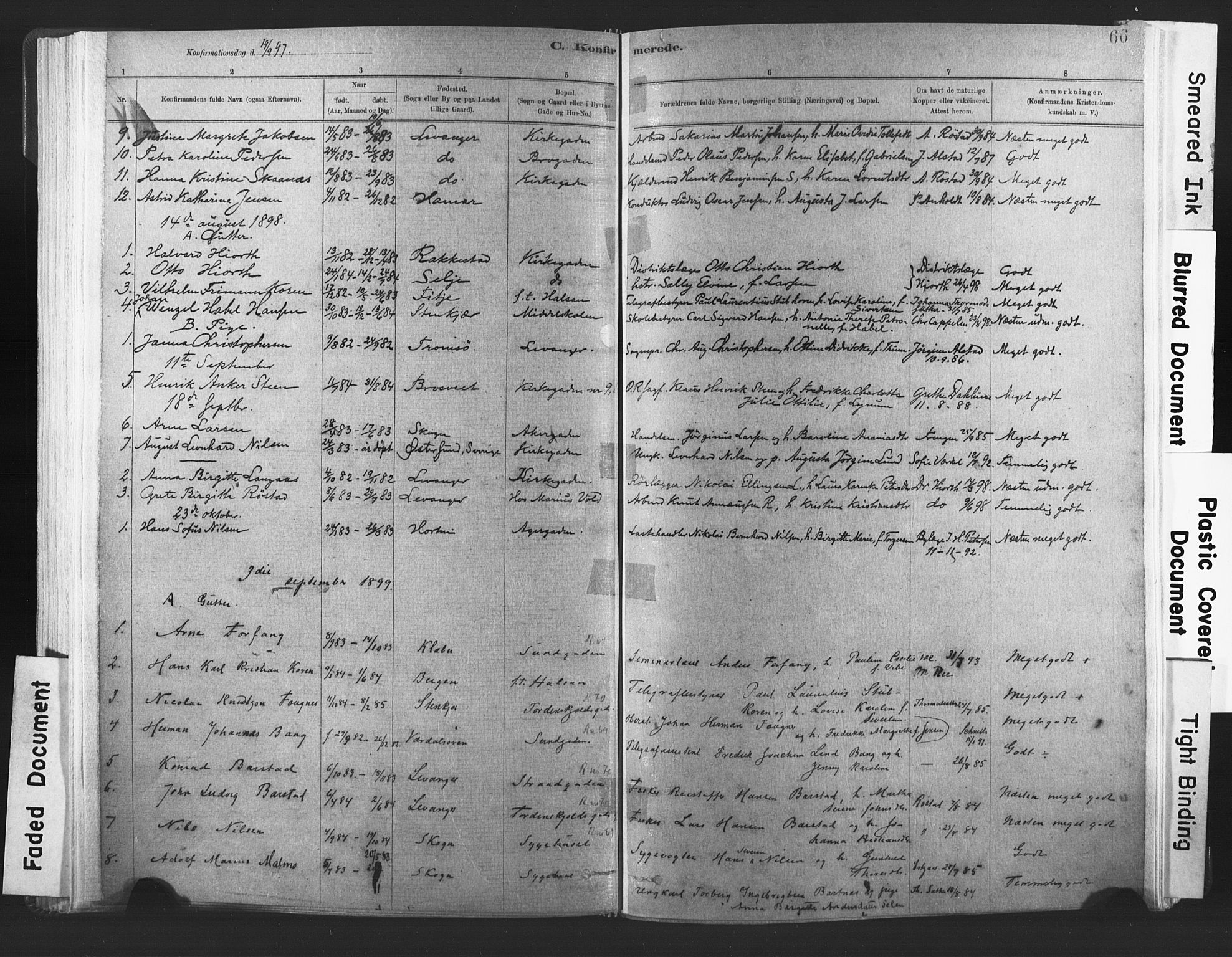 Ministerialprotokoller, klokkerbøker og fødselsregistre - Nord-Trøndelag, SAT/A-1458/720/L0189: Parish register (official) no. 720A05, 1880-1911, p. 66