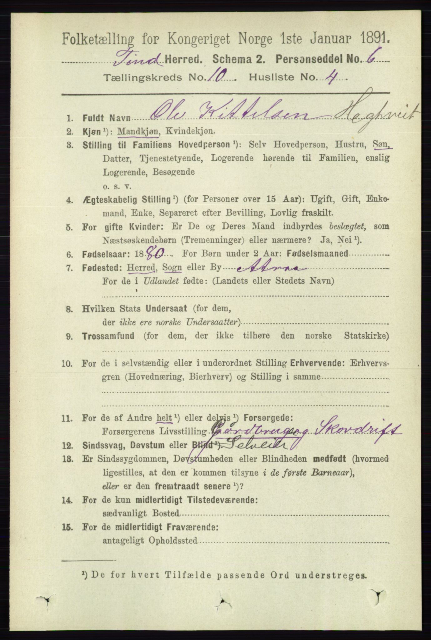 RA, 1891 census for 0826 Tinn, 1891, p. 1995