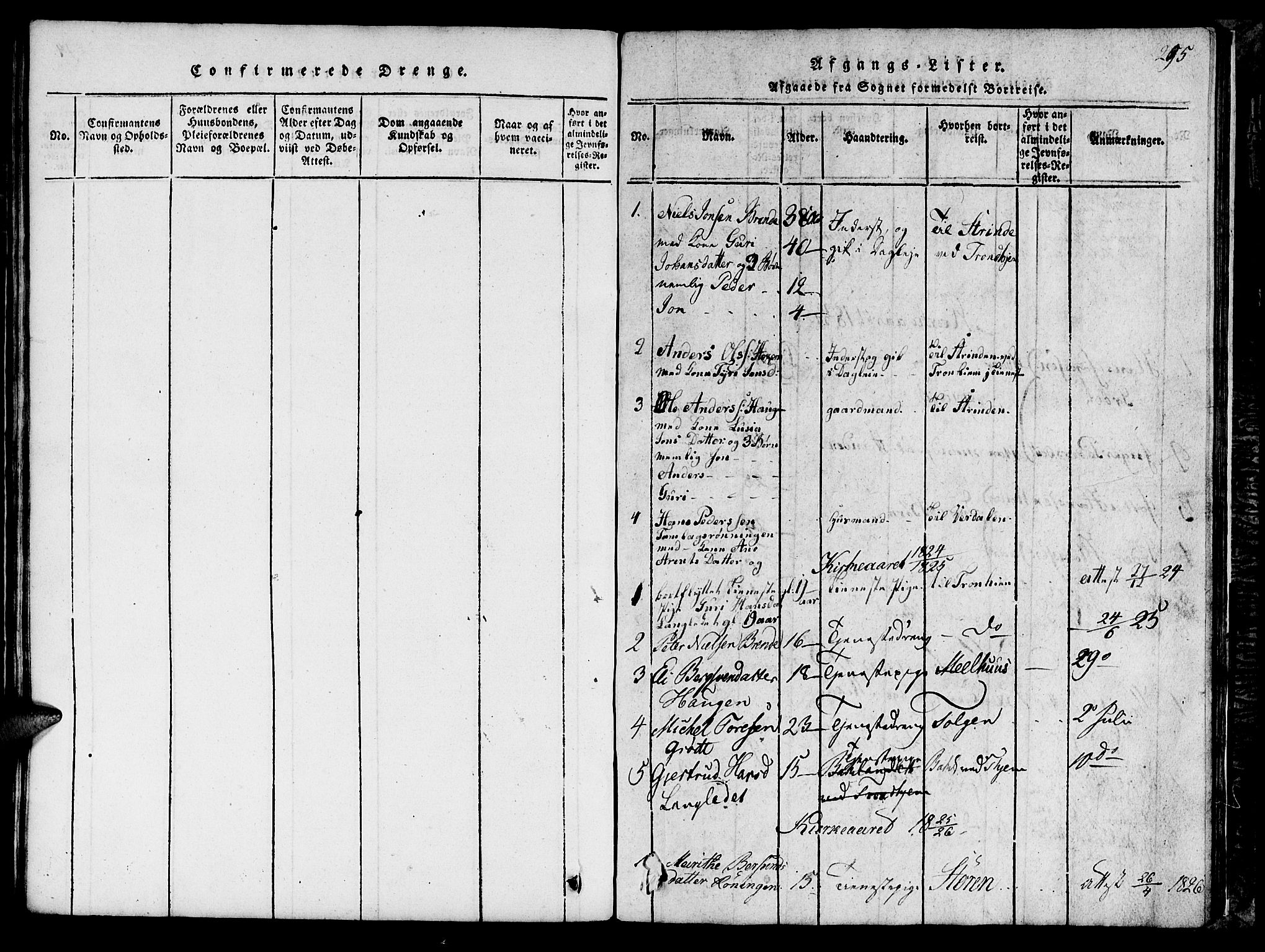 Ministerialprotokoller, klokkerbøker og fødselsregistre - Sør-Trøndelag, SAT/A-1456/685/L0976: Parish register (copy) no. 685C01, 1817-1878, p. 295