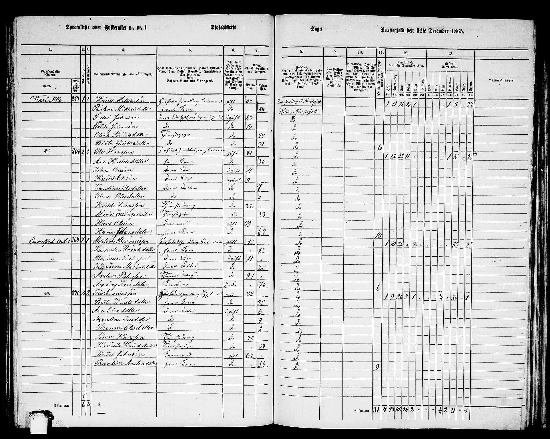 RA, 1865 census for Volda, 1865, p. 137