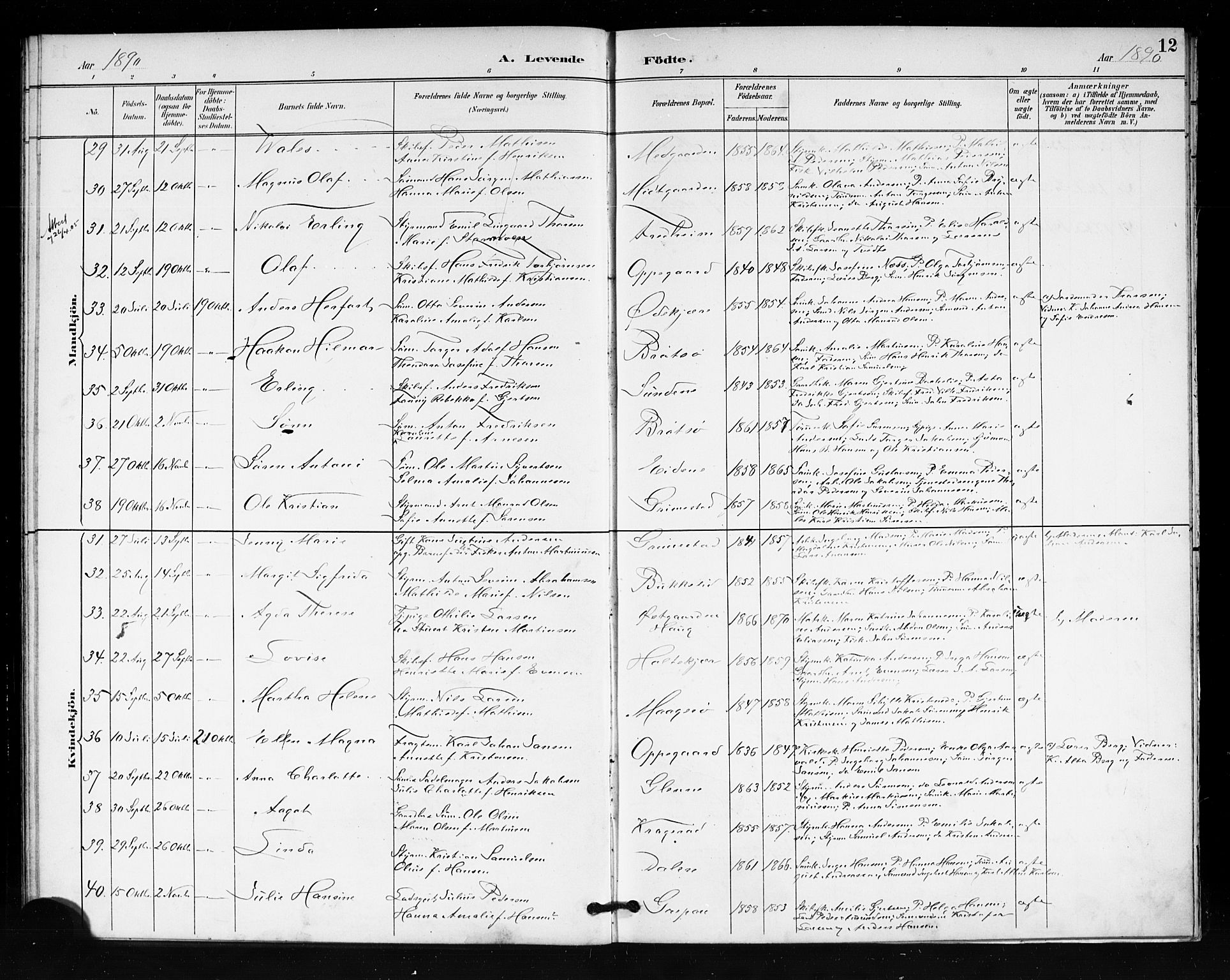 Tjøme kirkebøker, SAKO/A-328/F/Fa/L0002: Parish register (official) no. 2, 1888-1890, p. 12
