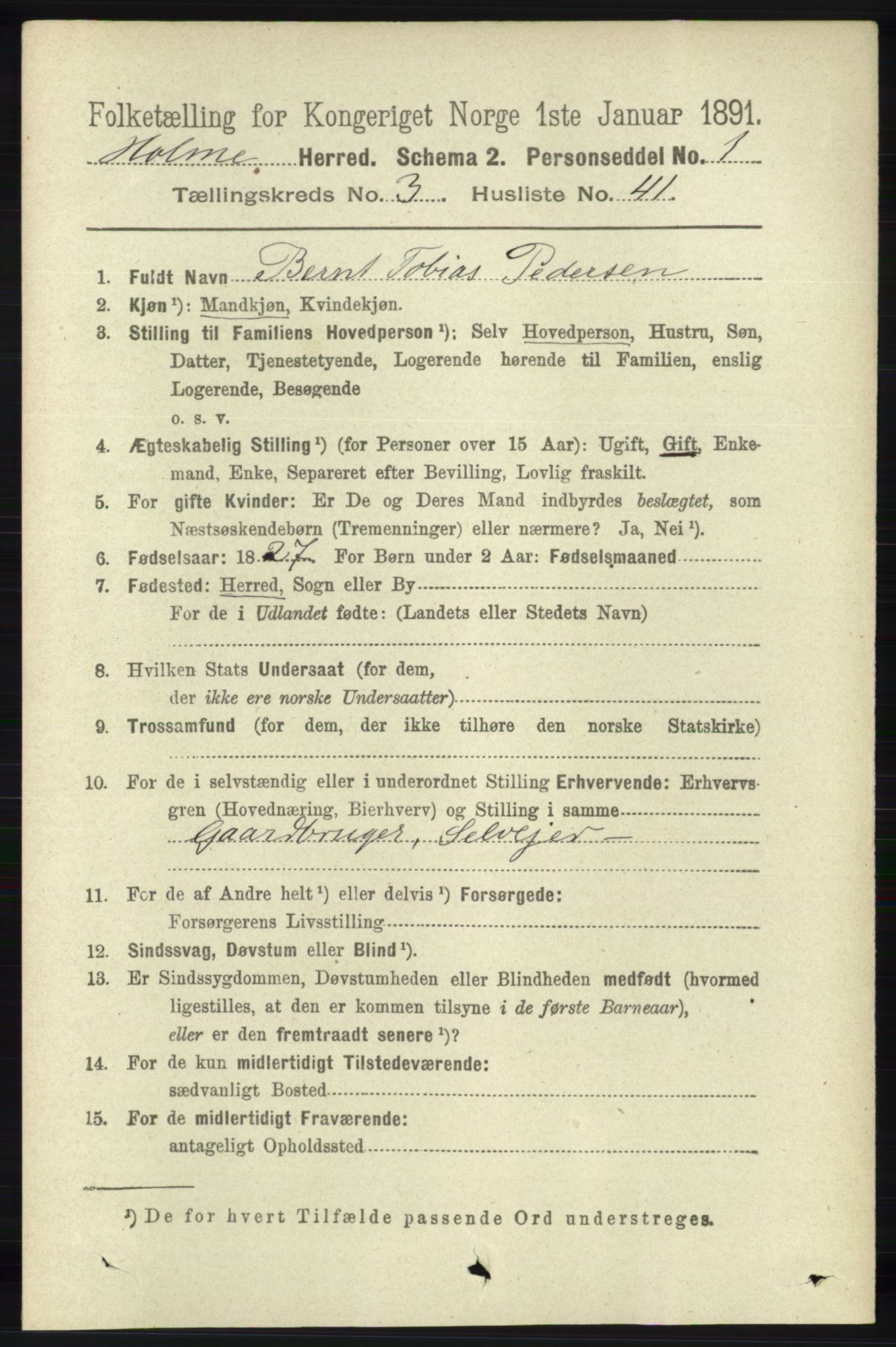 RA, 1891 census for 1020 Holum, 1891, p. 996