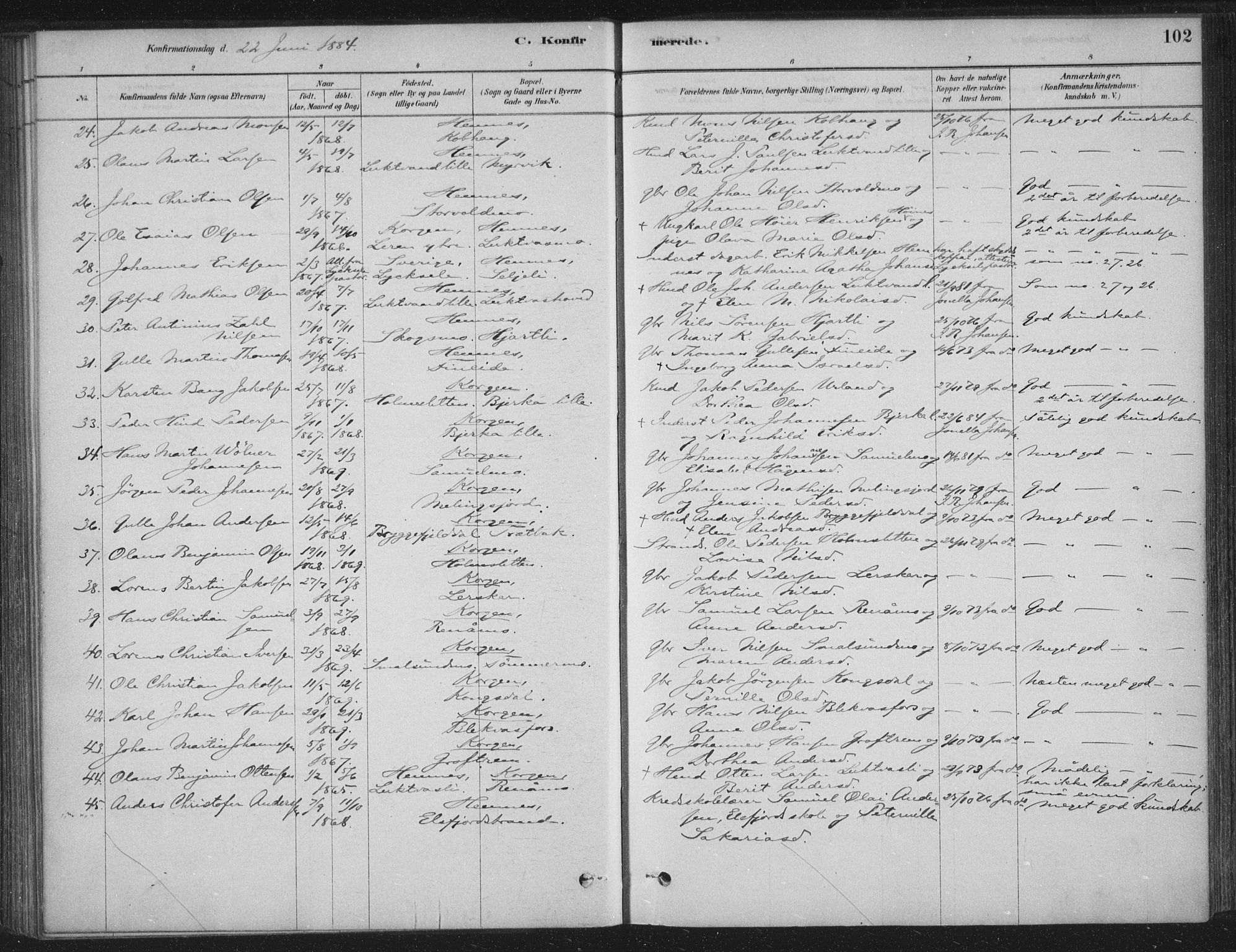 Ministerialprotokoller, klokkerbøker og fødselsregistre - Nordland, AV/SAT-A-1459/825/L0361: Parish register (official) no. 825A15, 1878-1893, p. 102