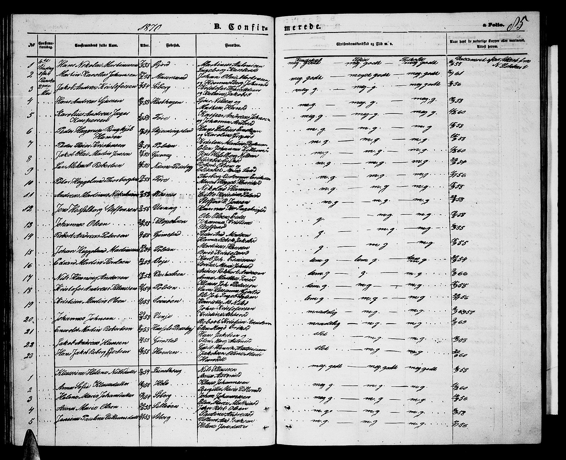 Ministerialprotokoller, klokkerbøker og fødselsregistre - Nordland, AV/SAT-A-1459/891/L1314: Parish register (copy) no. 891C03, 1870-1885, p. 85