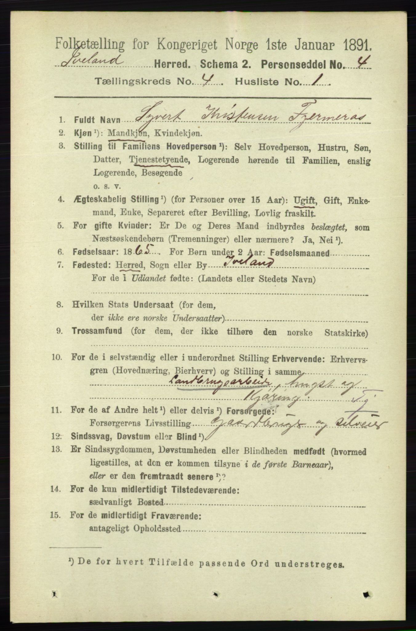 RA, 1891 census for 0935 Iveland, 1891, p. 1026