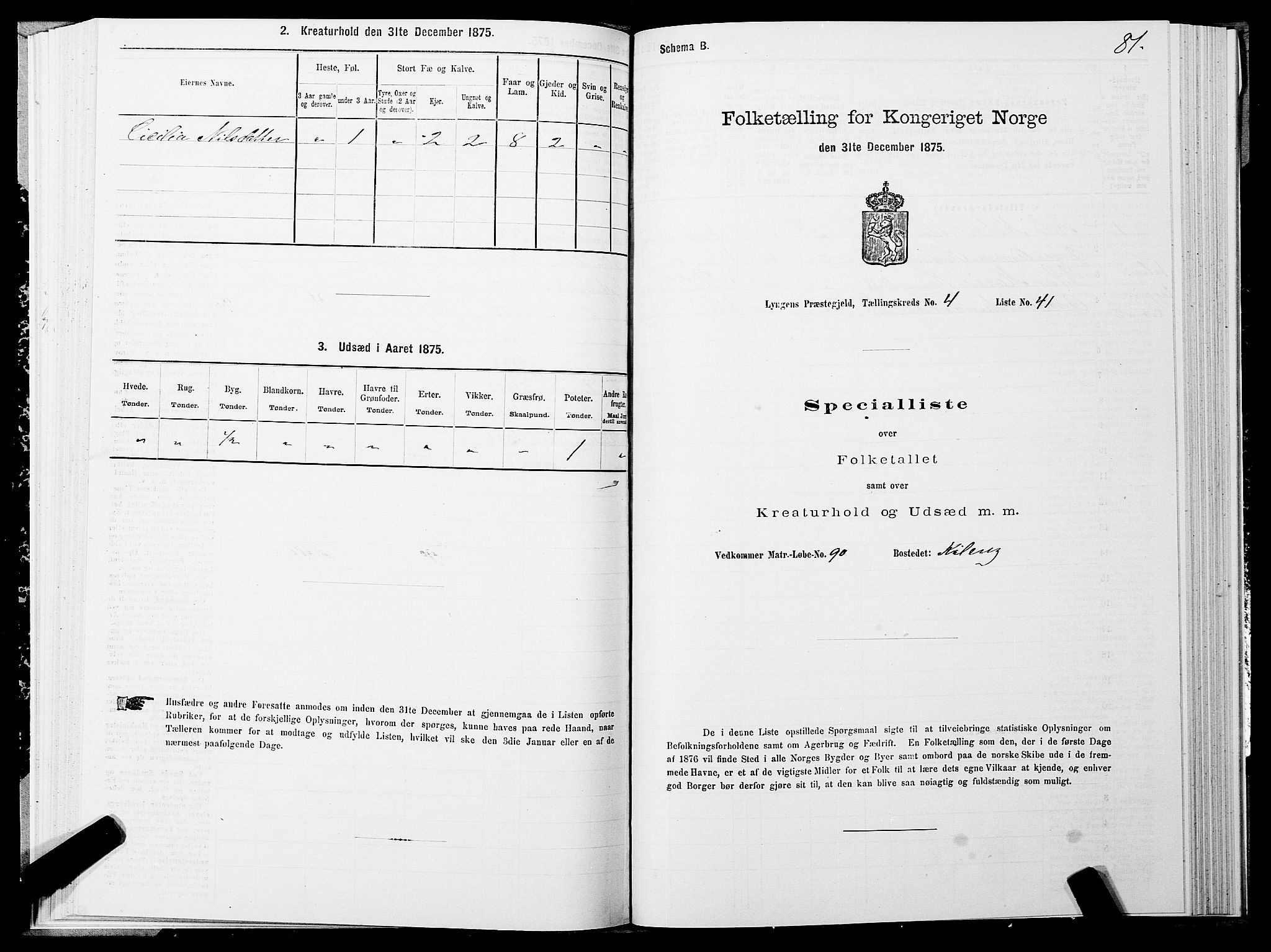 SATØ, 1875 census for 1938P Lyngen, 1875, p. 4081