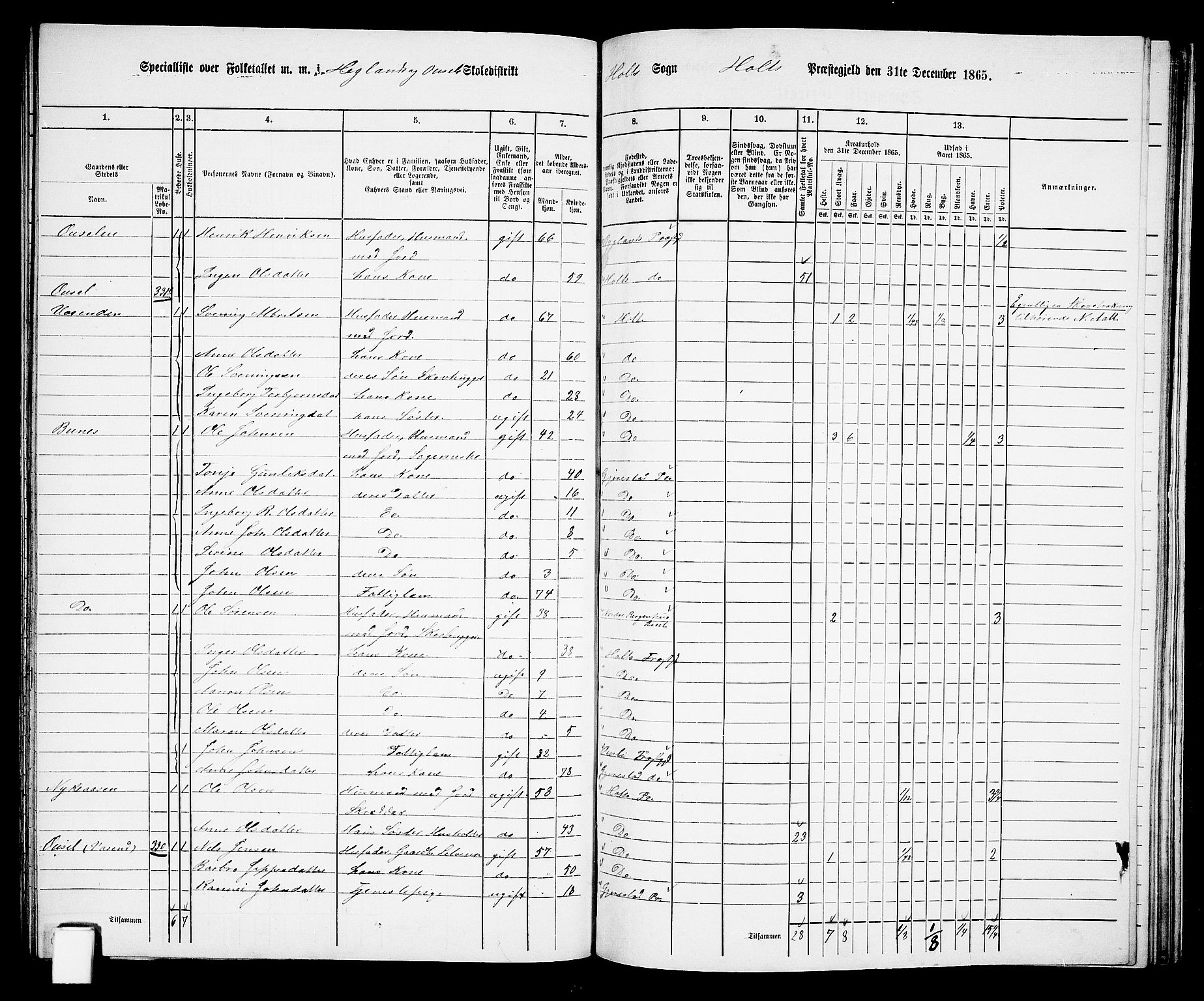 RA, 1865 census for Holt/Holt, 1865, p. 143