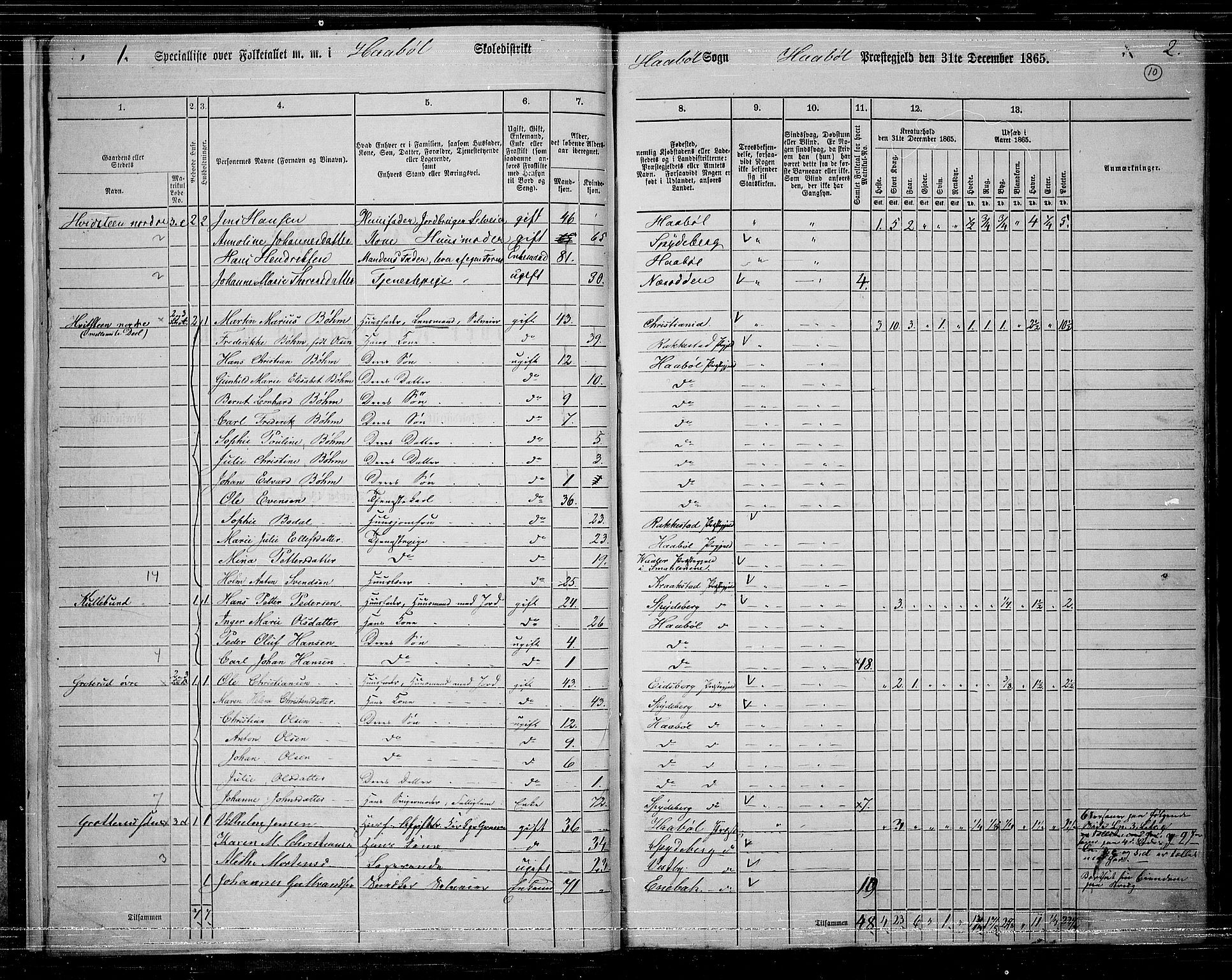 RA, 1865 census for Hobøl, 1865, p. 11