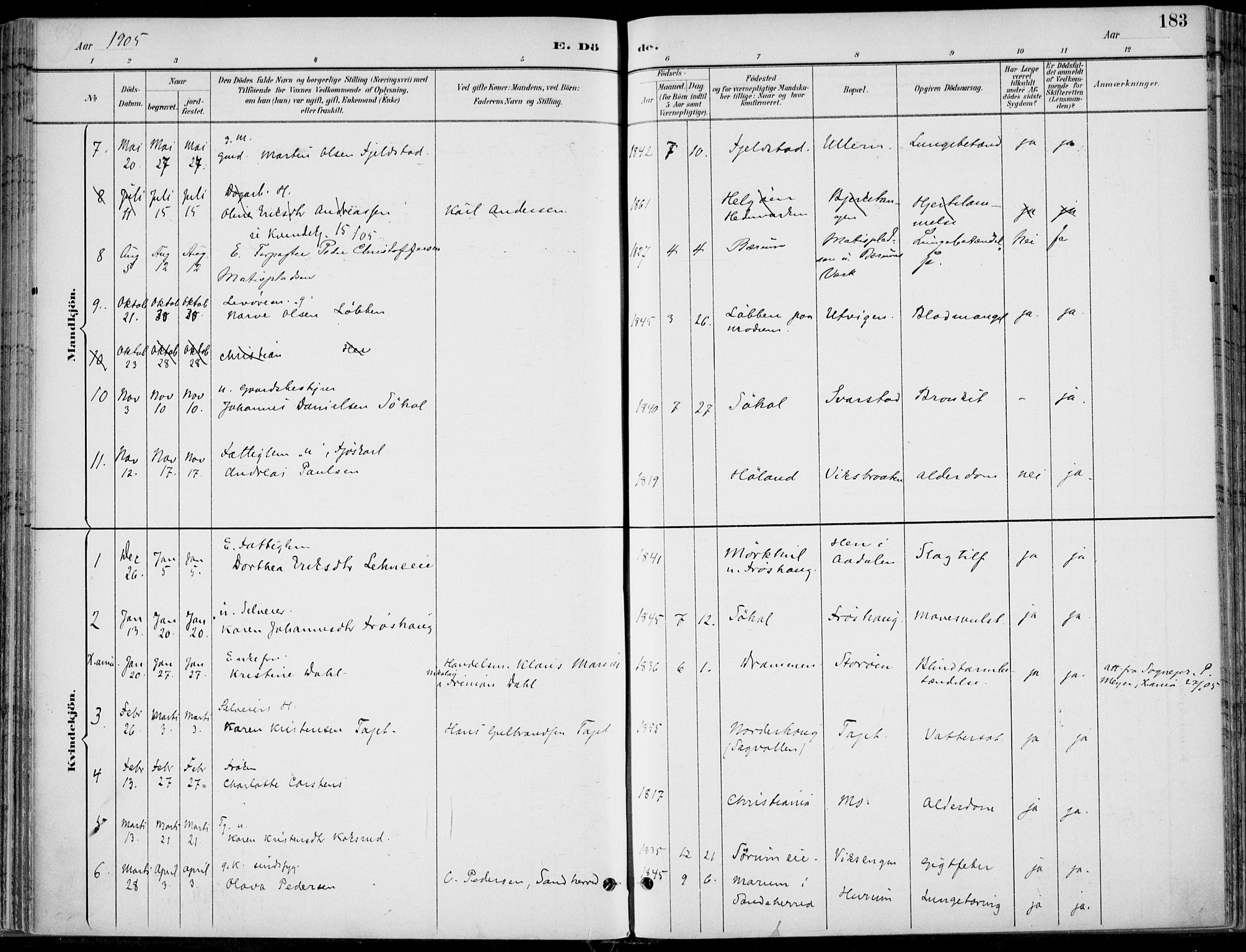 Hole kirkebøker, AV/SAKO-A-228/F/Fa/L0009: Parish register (official) no. I 9, 1892-1907, p. 183