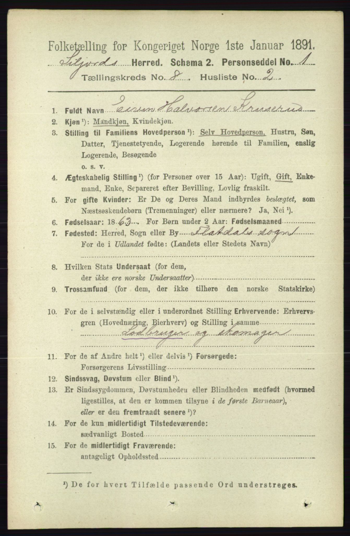 RA, 1891 census for 0828 Seljord, 1891, p. 2880