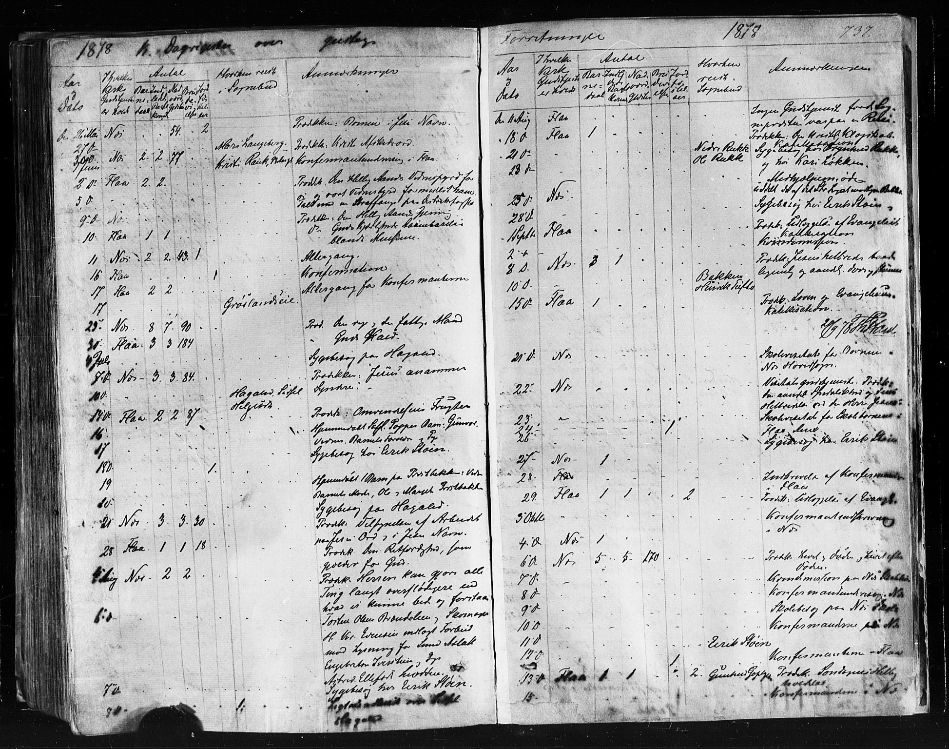 Nes kirkebøker, AV/SAKO-A-236/F/Fa/L0010: Parish register (official) no. 10, 1864-1880, p. 737