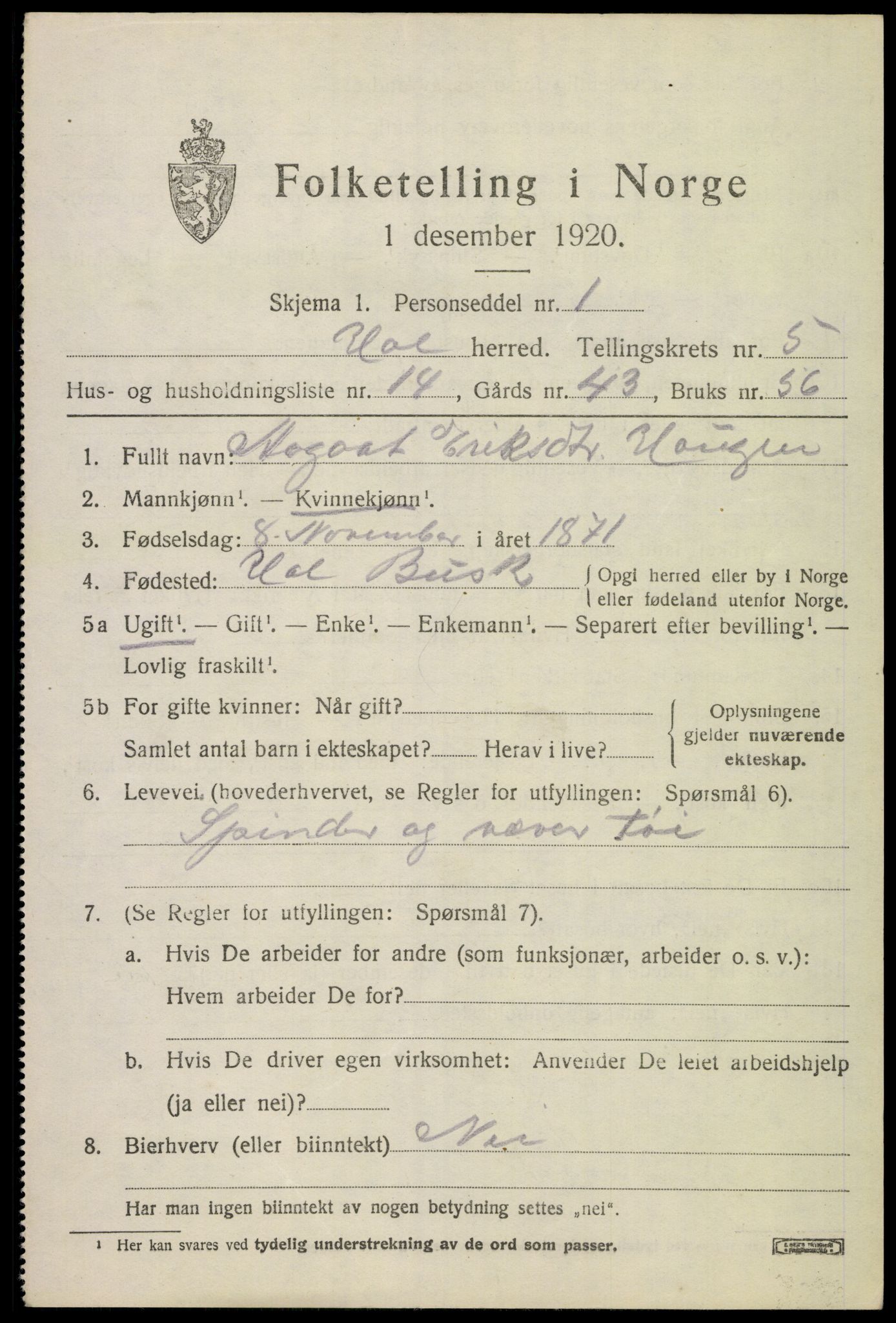 SAKO, 1920 census for Hol (Buskerud), 1920, p. 2915