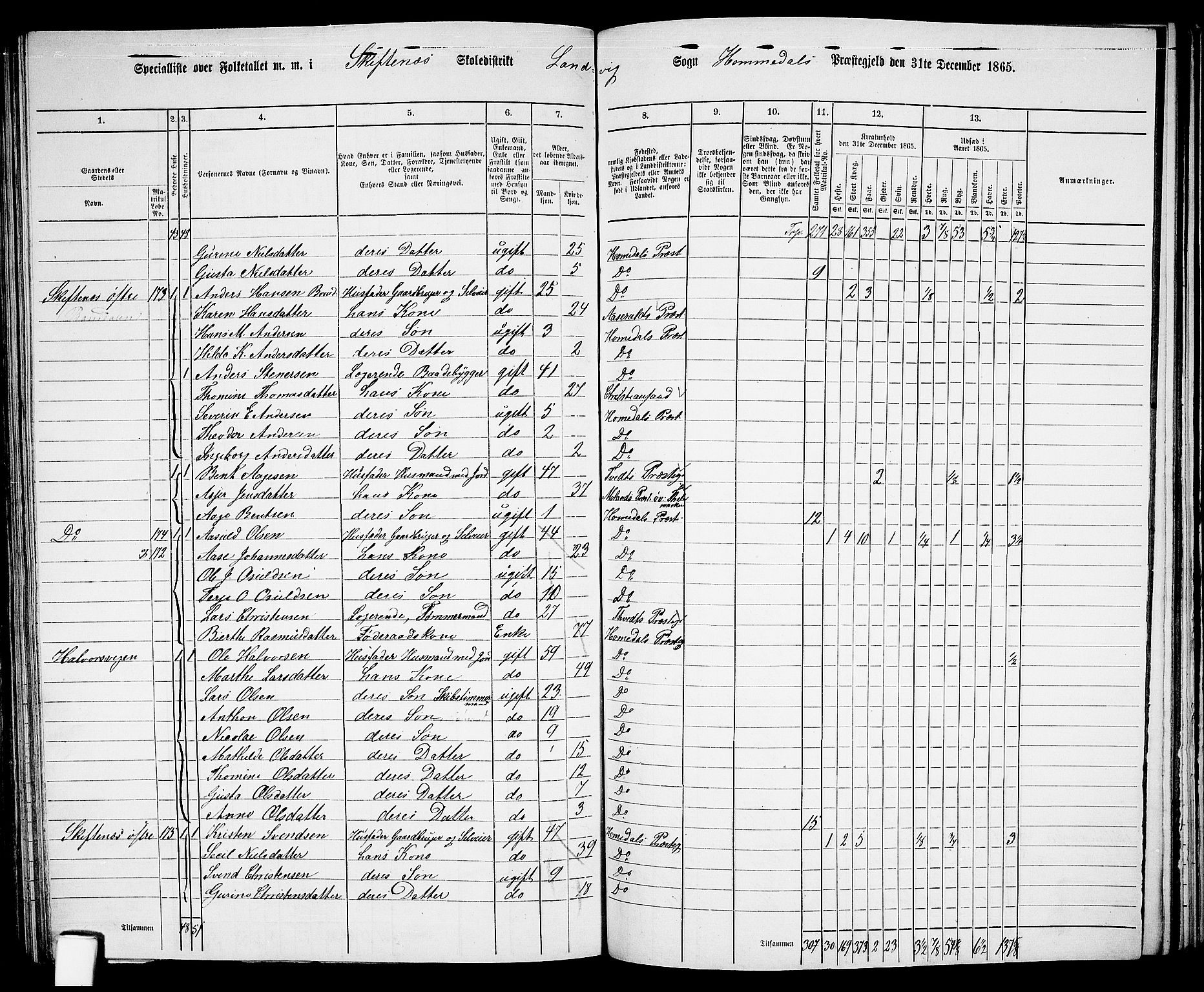 RA, 1865 census for Homedal, 1865, p. 134