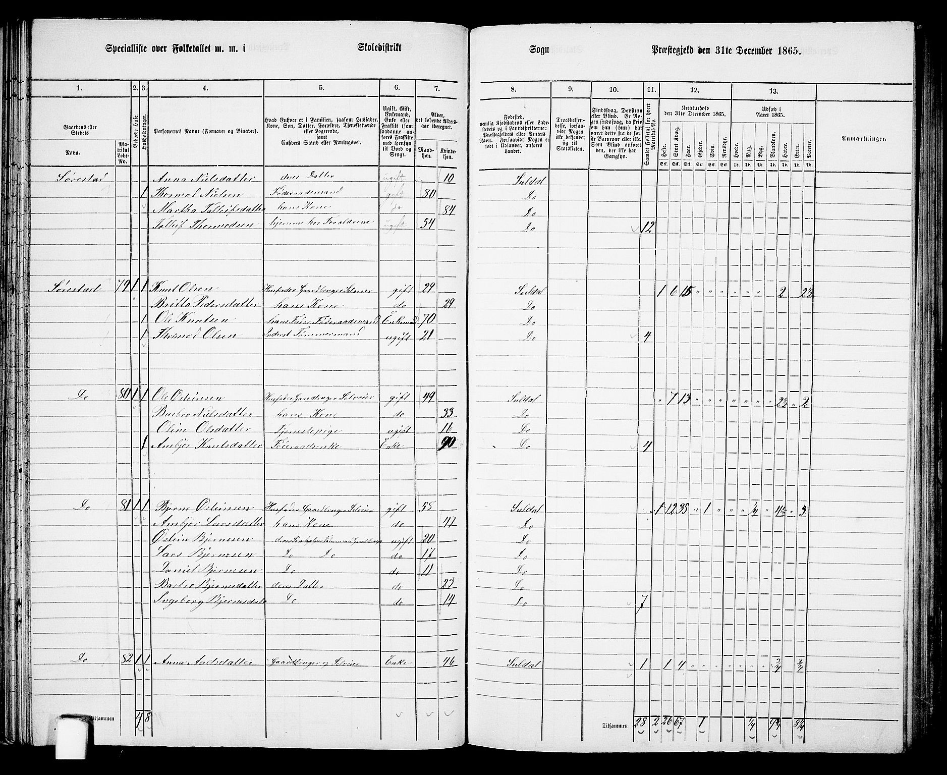 RA, 1865 census for Suldal, 1865, p. 54