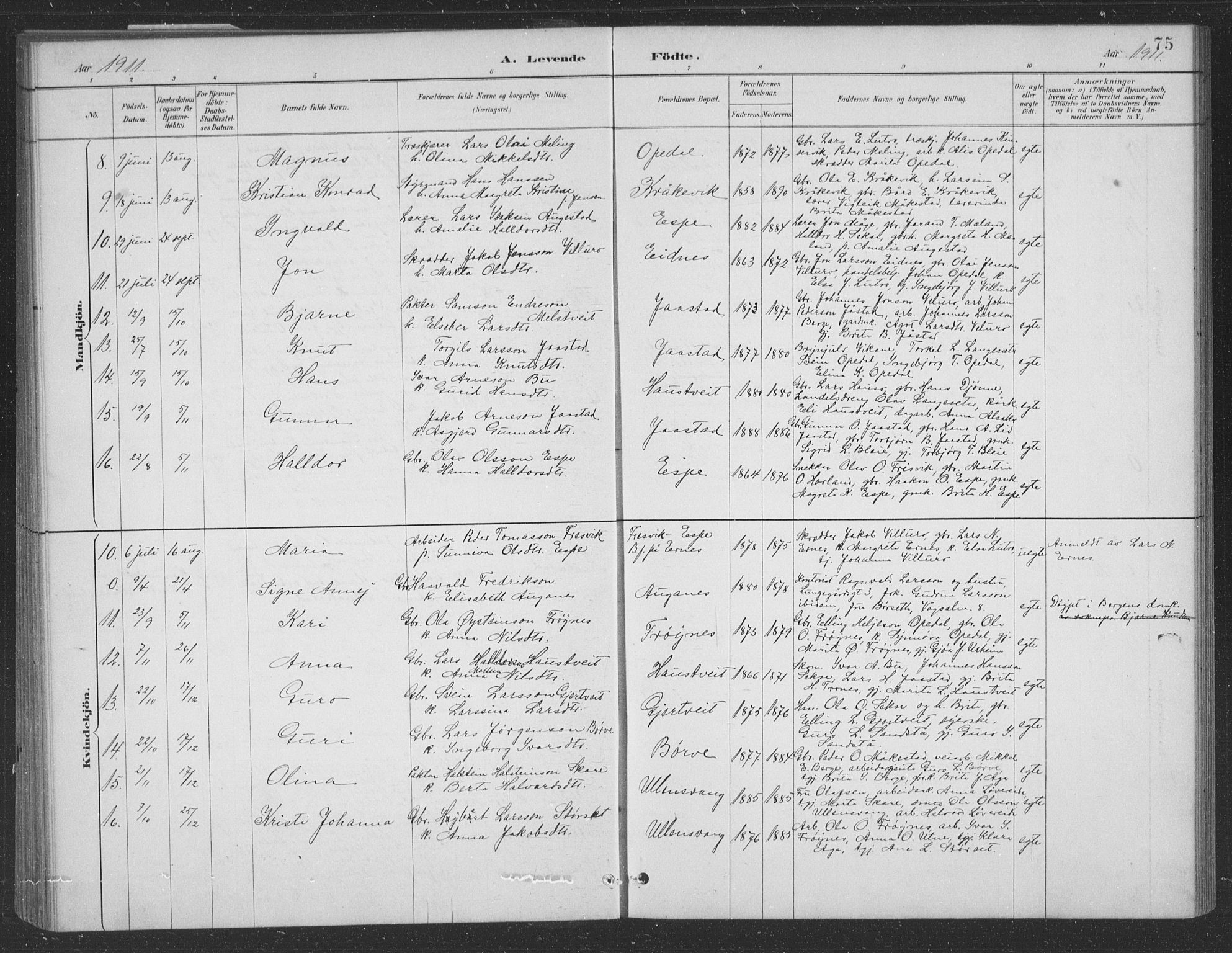 Ullensvang sokneprestembete, SAB/A-78701/H/Hab: Parish register (copy) no. B 11, 1887-1939, p. 75