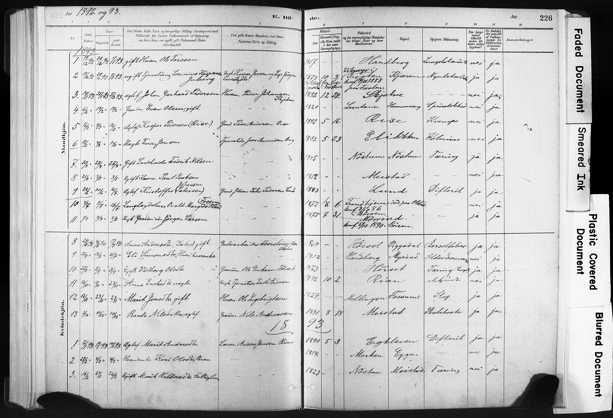 Ministerialprotokoller, klokkerbøker og fødselsregistre - Sør-Trøndelag, AV/SAT-A-1456/665/L0773: Parish register (official) no. 665A08, 1879-1905, p. 226